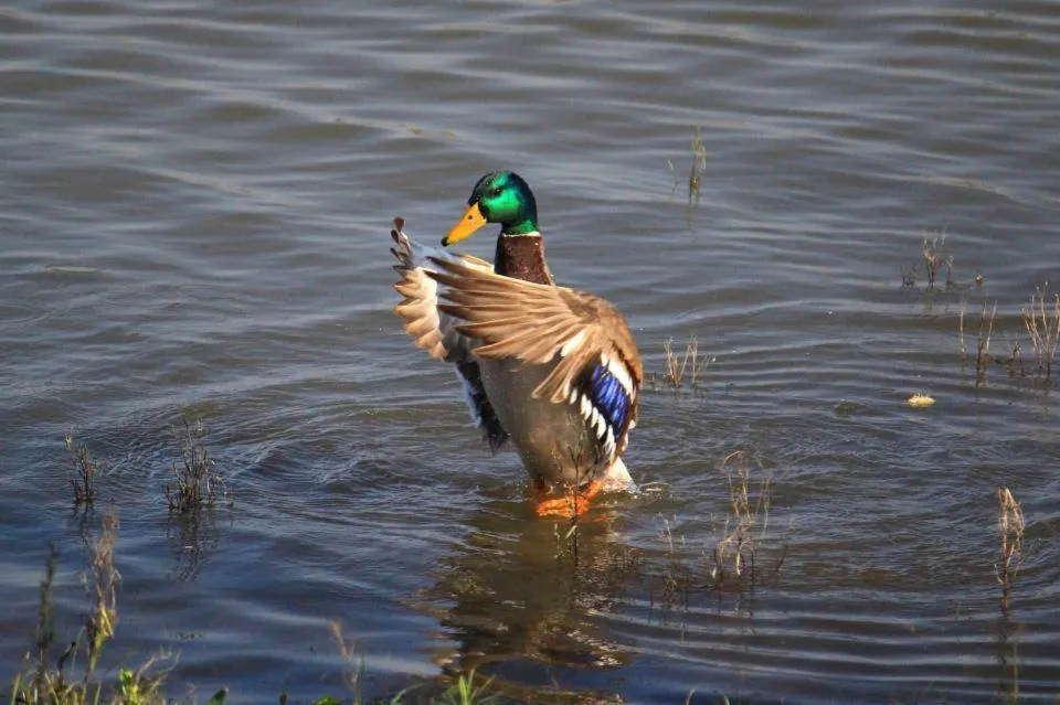Natural landscape in Hotel Paraiso