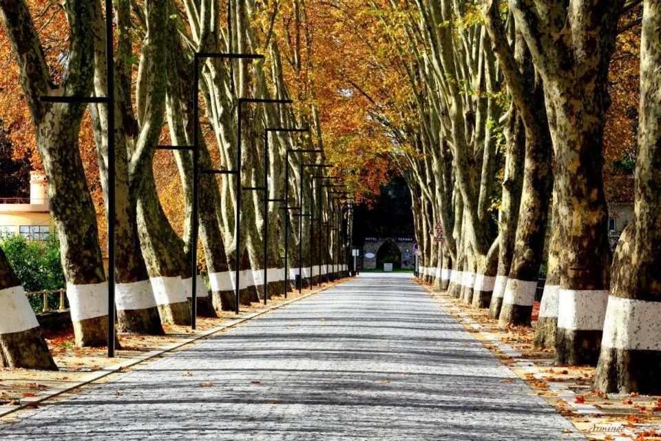 Nearby landmark in Hotel Paraiso