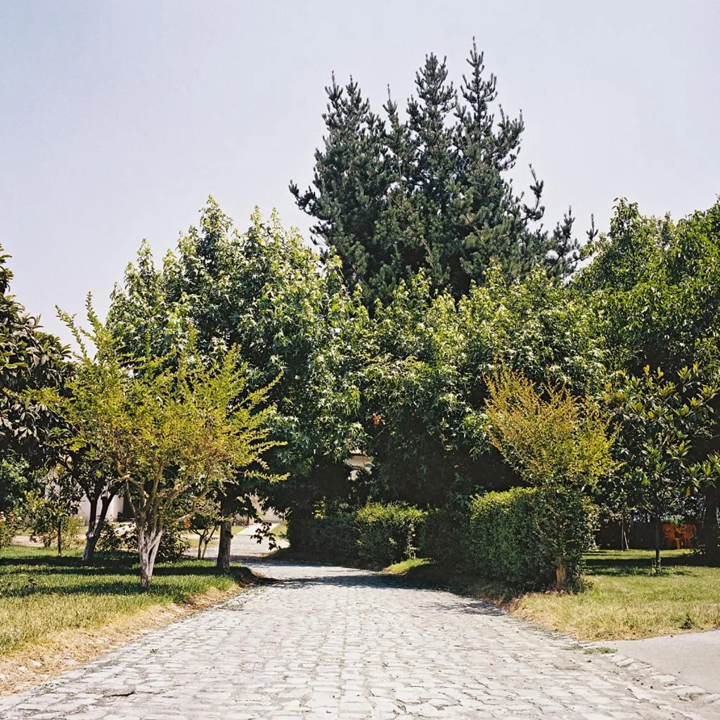 Garden in Hotel Paraiso