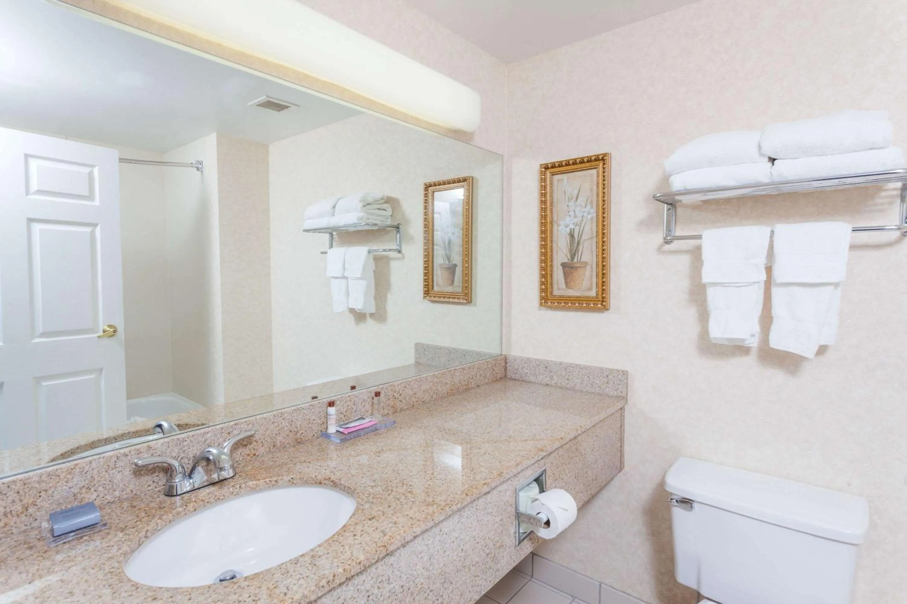 Bathroom in Wingate by Wyndham Atlanta/Six Flags Austell