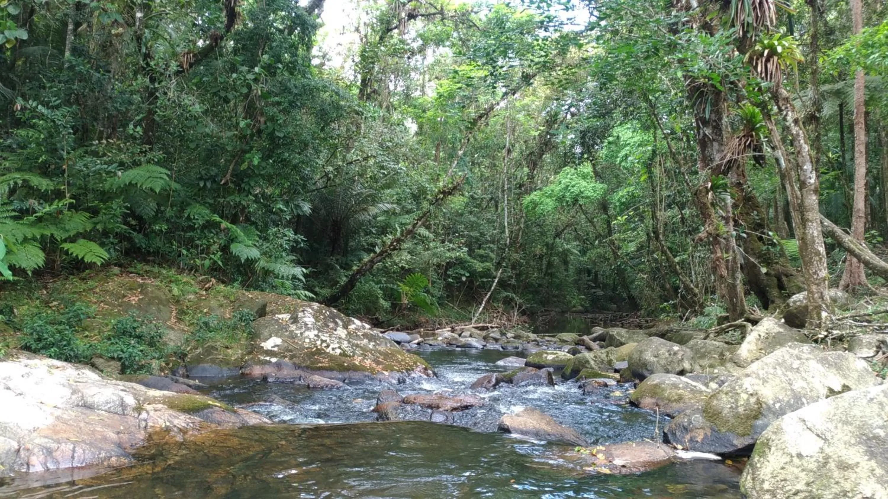 Natural landscape in Hotel Marina Clube de Pesca