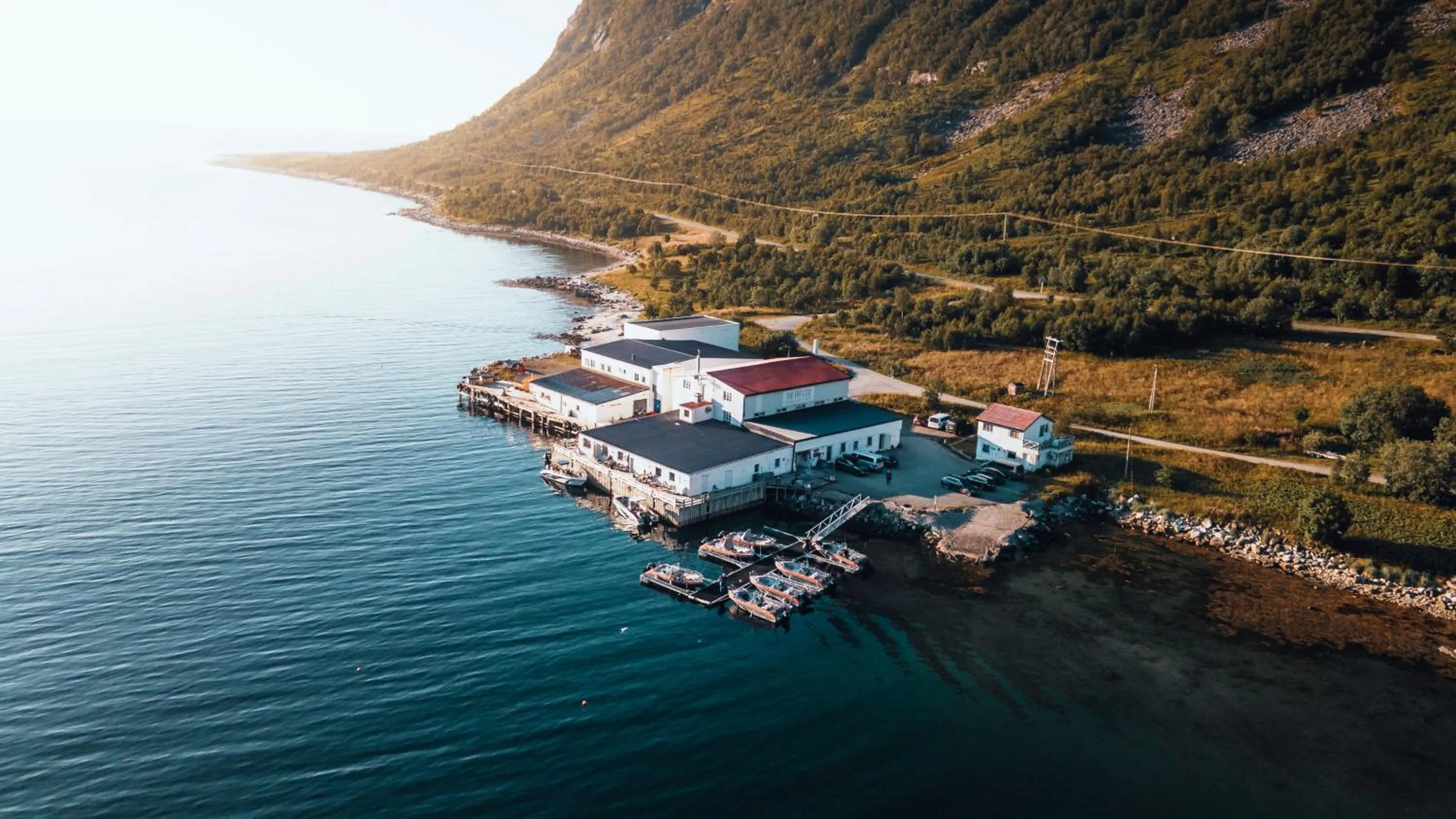 Northern Light Hotell/Camp Steinfjord