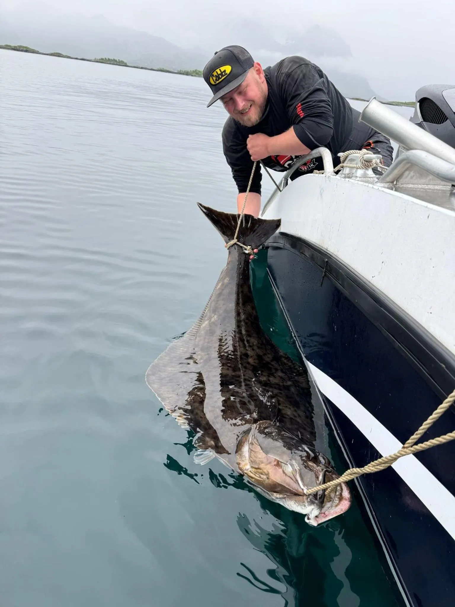 Northern Light Hotell/Camp Steinfjord