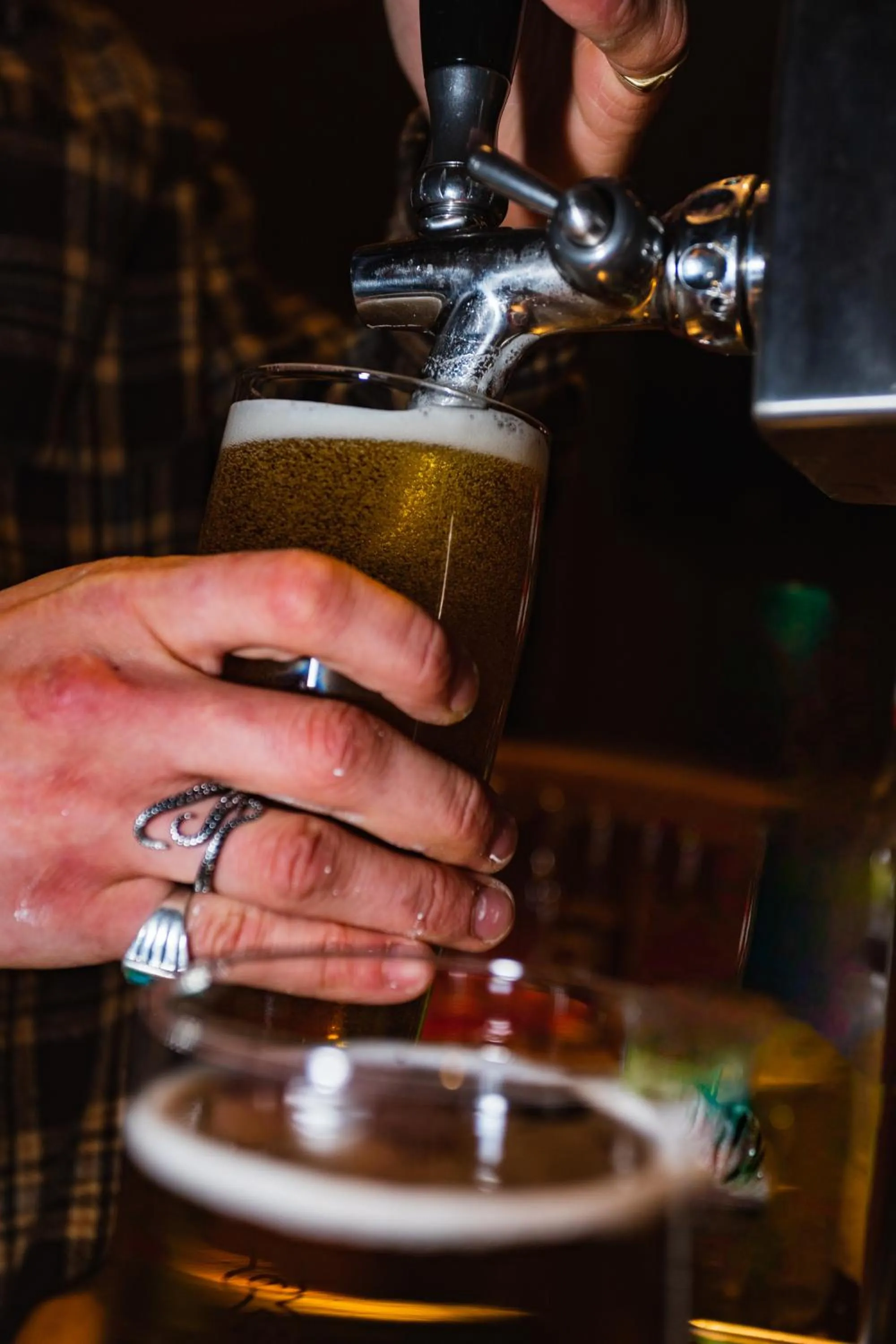 Northern Light Hotell/Camp Steinfjord