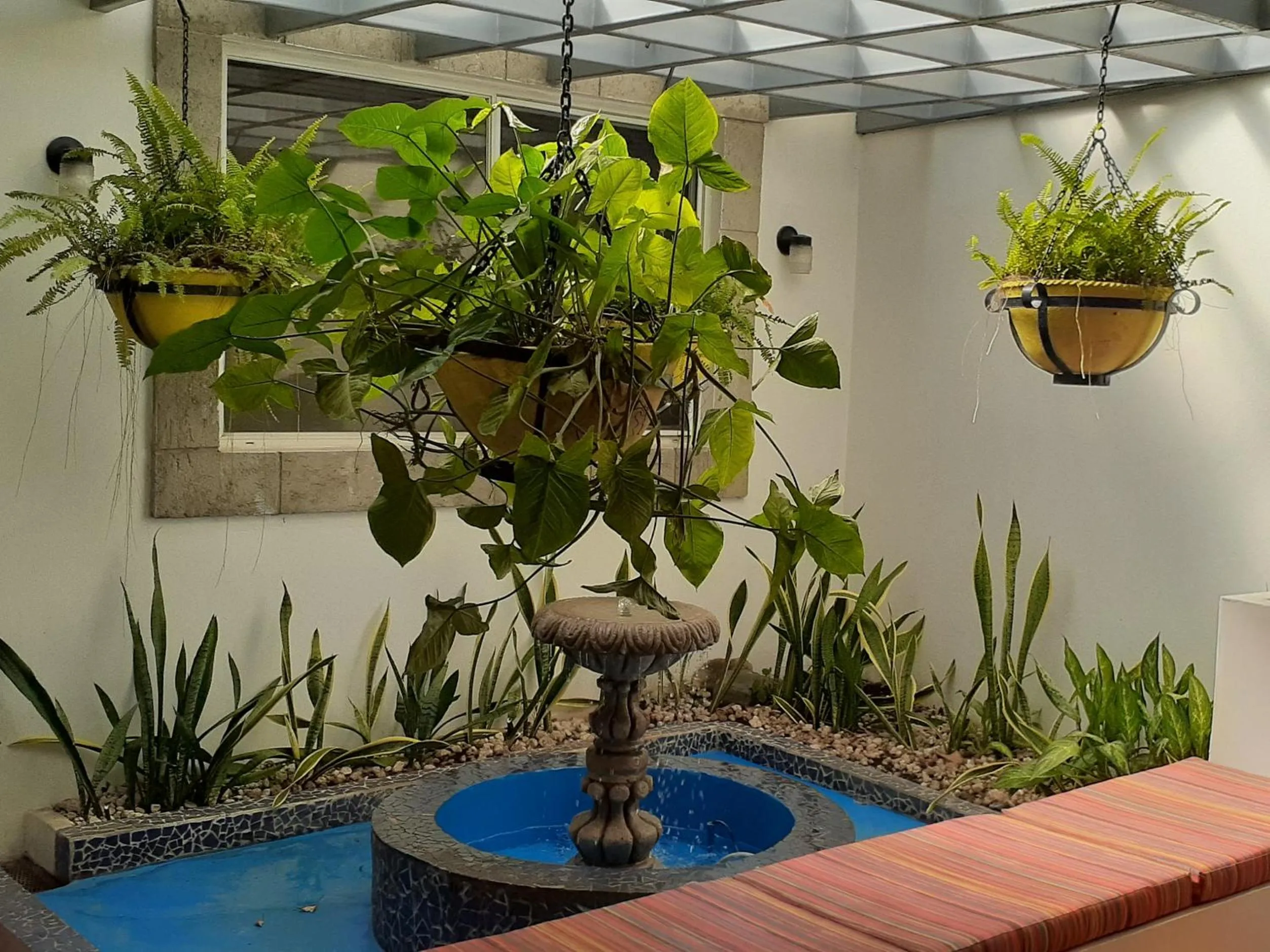 Garden in Hotel El Almendro