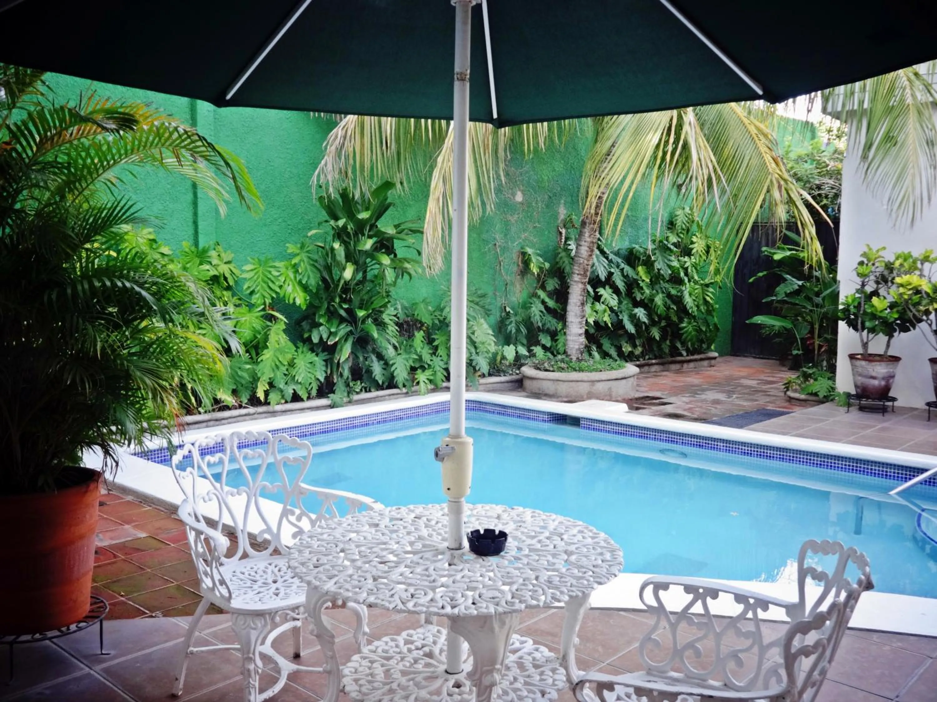 Swimming pool in Hotel El Almendro