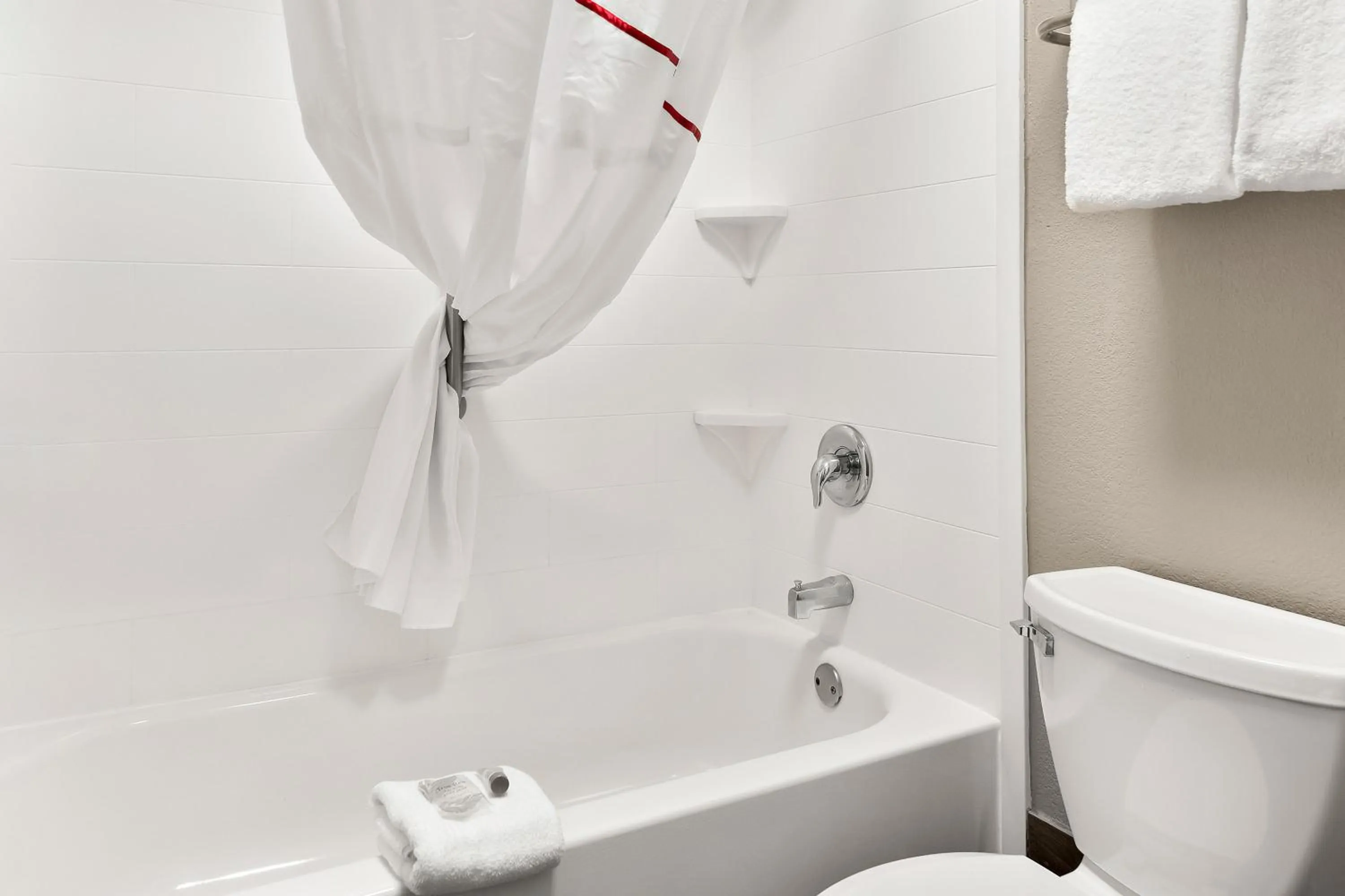 Bathroom in Red Roof Inn Rock Hill