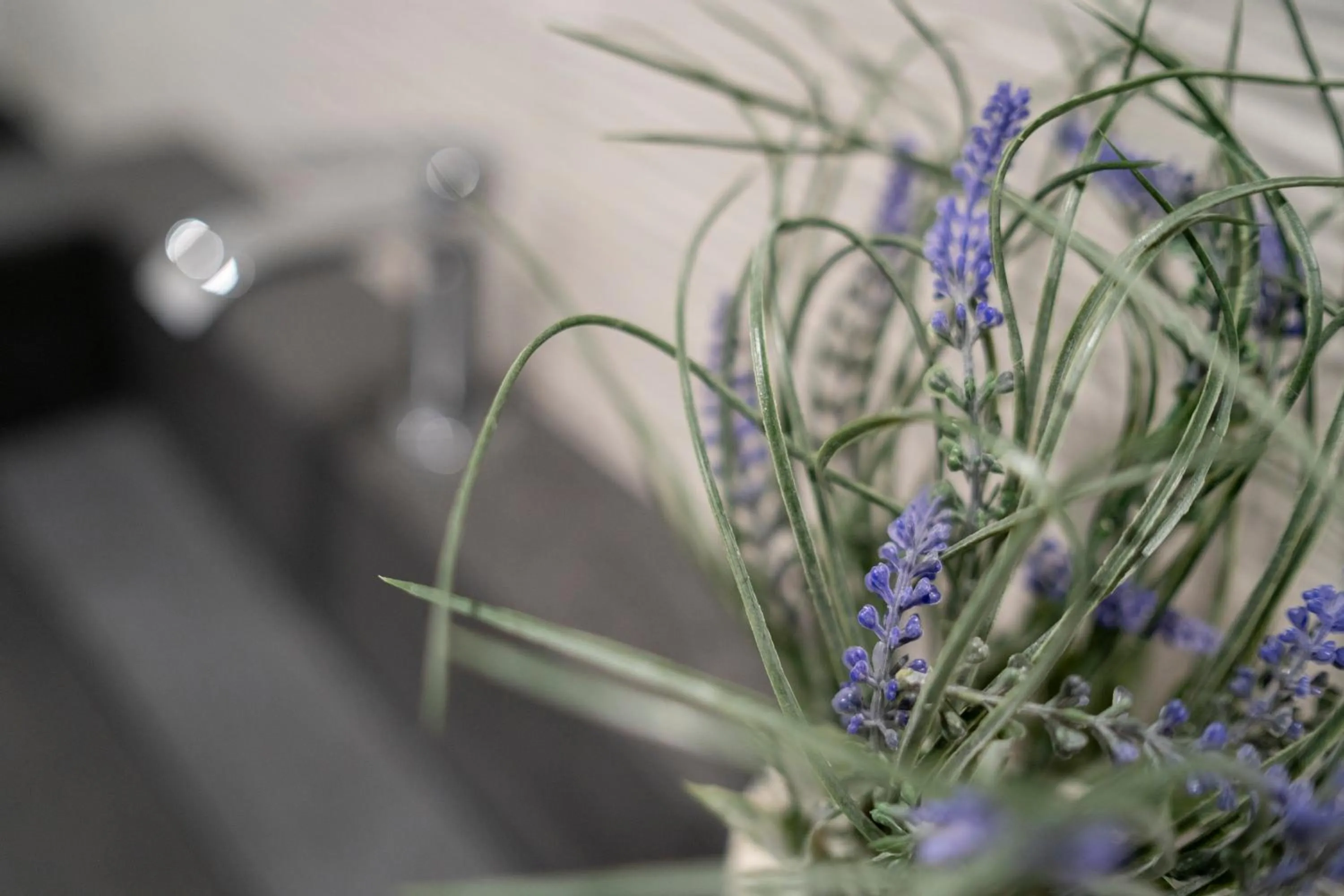 Anna & Alfredo bed and breakfast