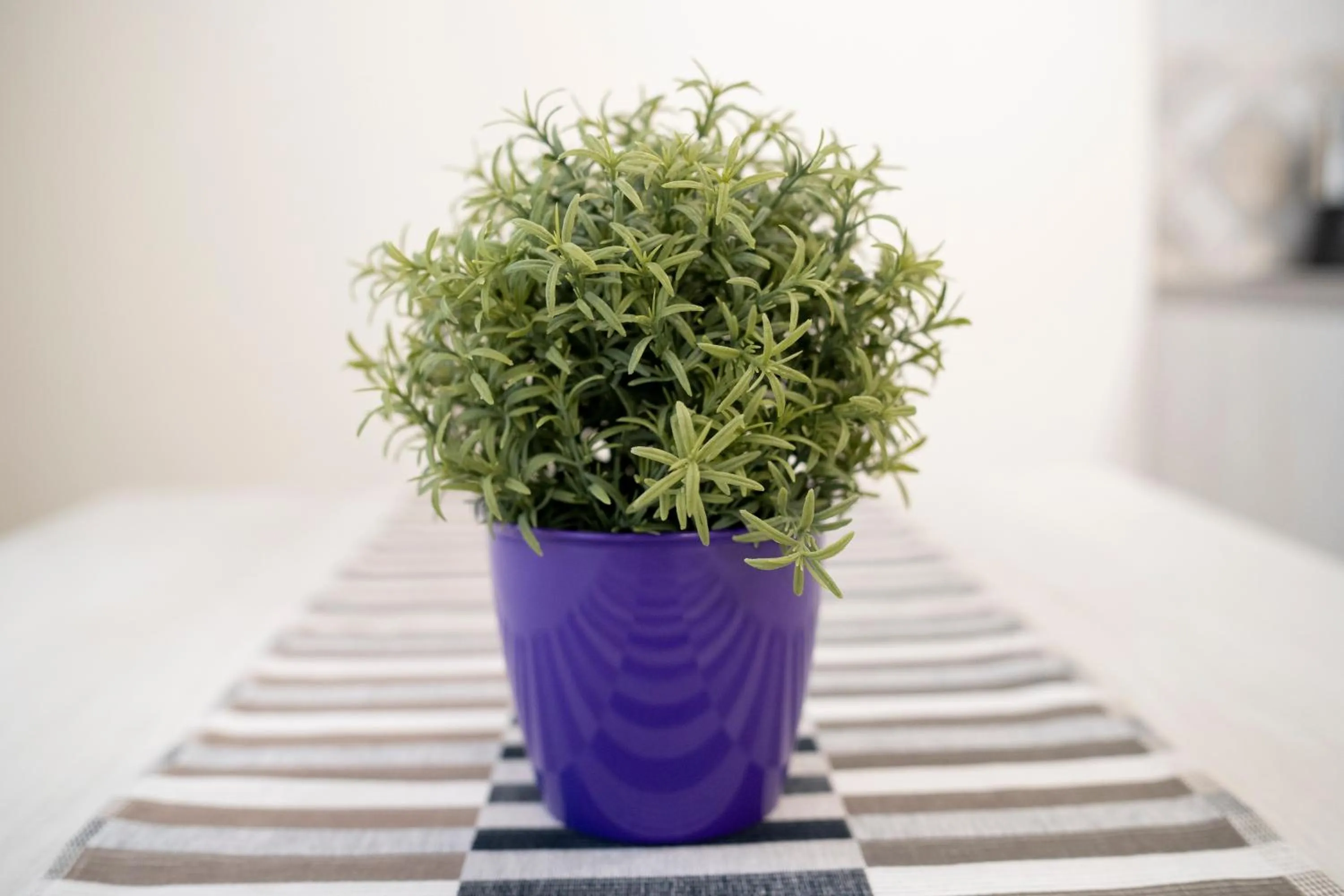 Anna & Alfredo bed and breakfast