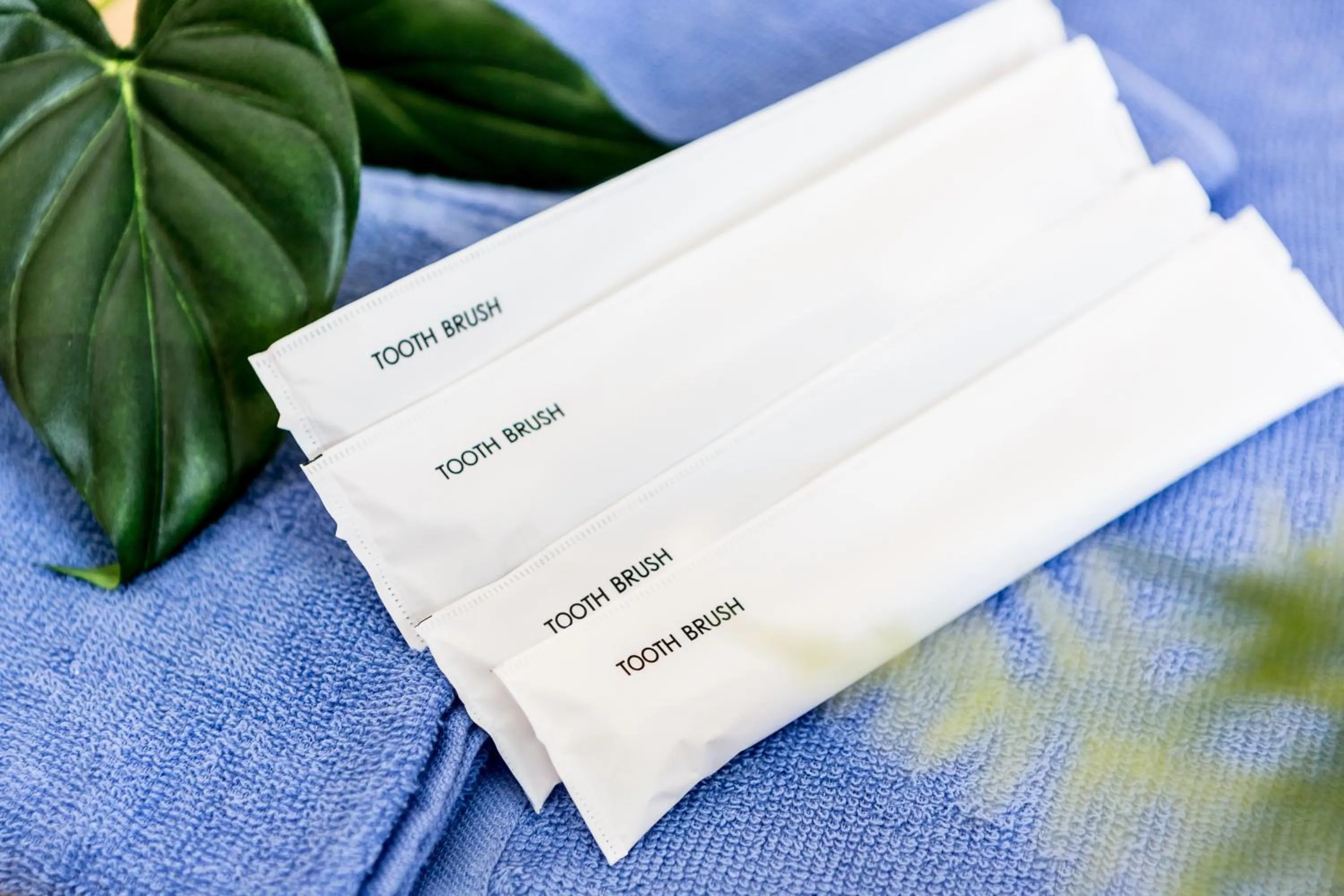 Photo of the whole room in JIYUKA INN