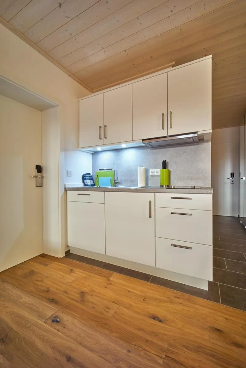 Kitchen or kitchenette in Alb Appartements