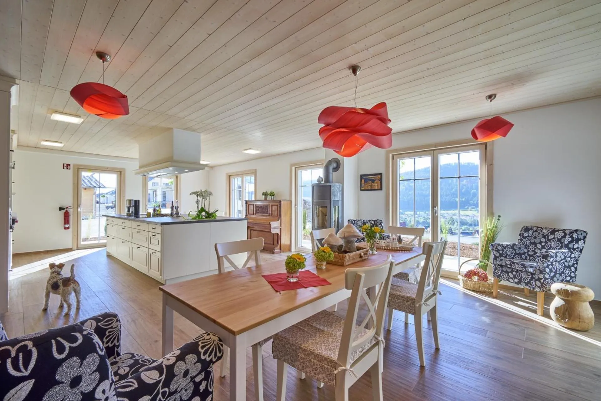 Food close-up in Alb Appartements