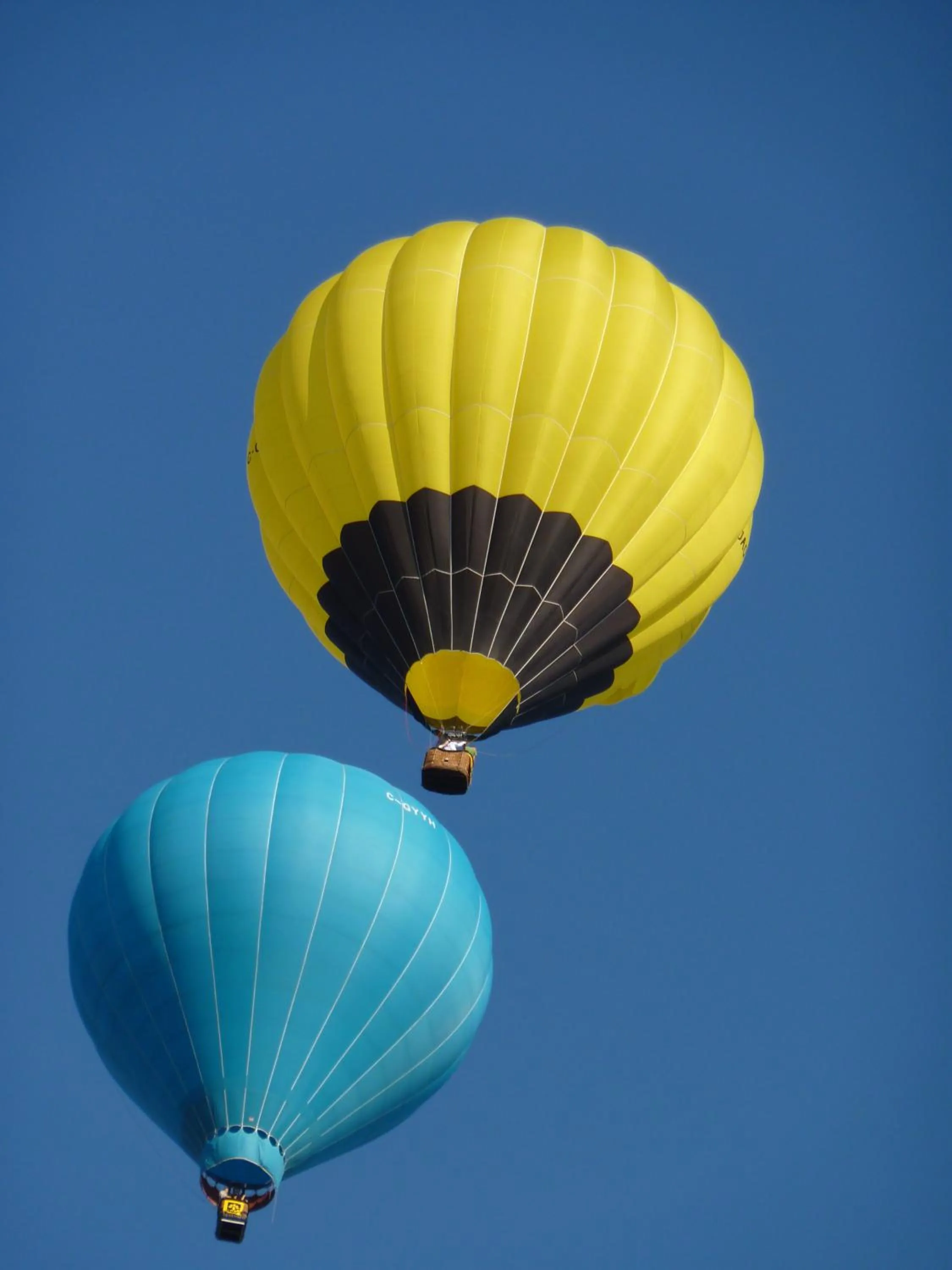 Area and facilities in Motel Belle Riviere