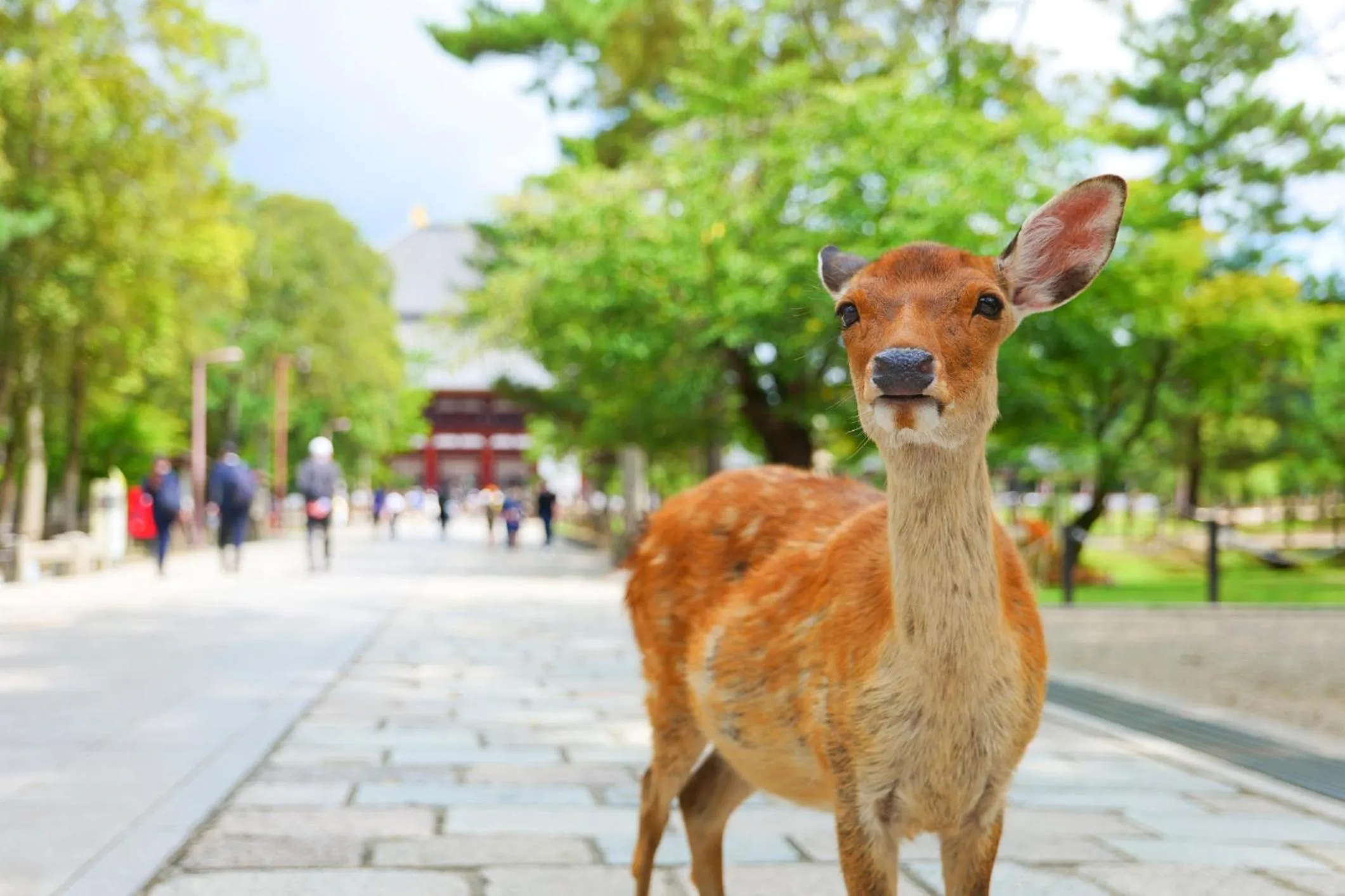 Nearby landmark in SEKAI HOTEL Deep Osaka Experience