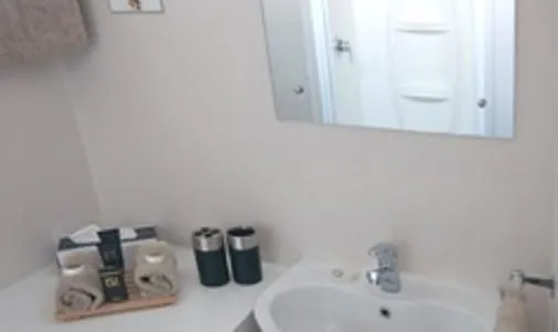 Bathroom in Broadway Motel & Miro Court Villas