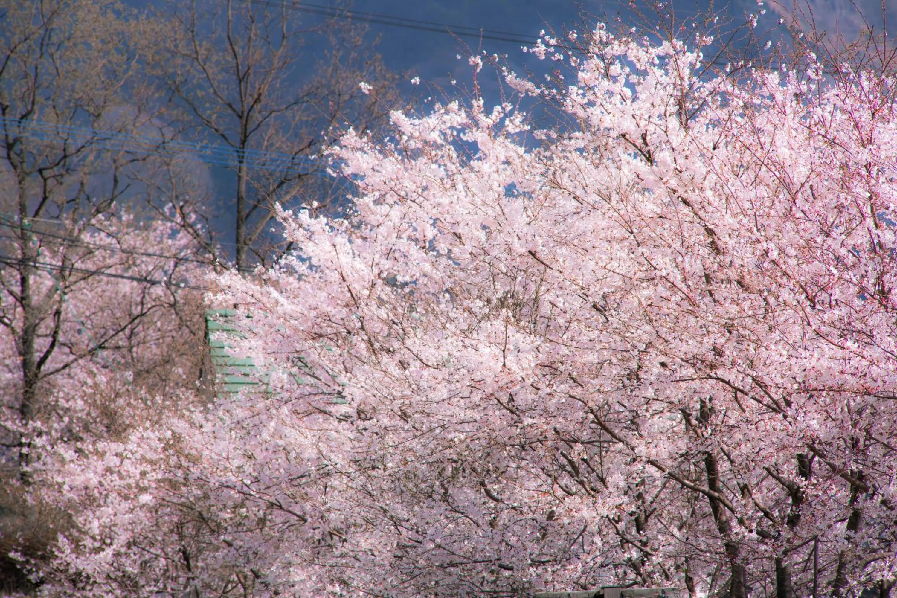 Natural landscape in Minami Aso Luna Observatory Auberge Mori no Atelier