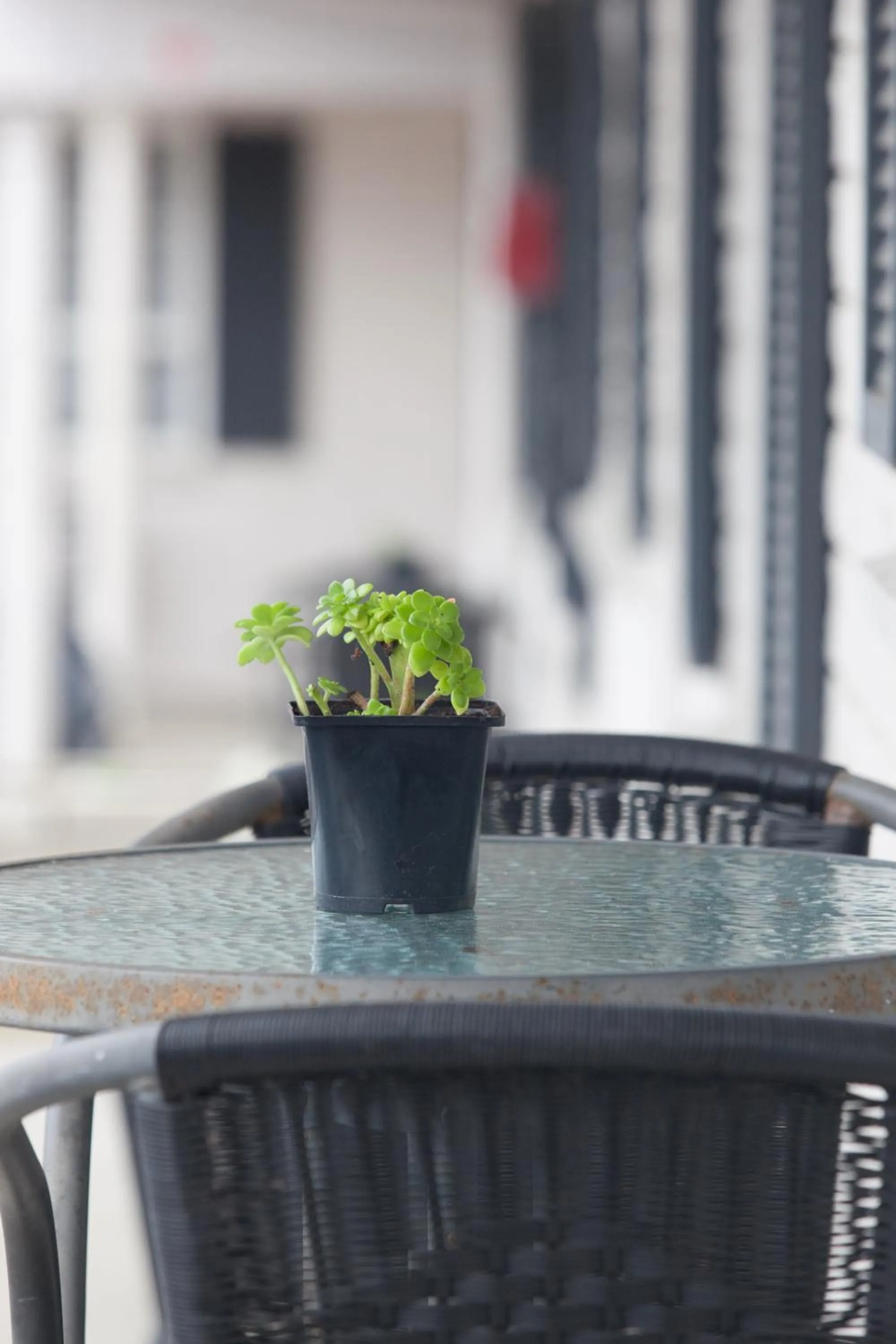 Otorohanga & Waitomo Motels