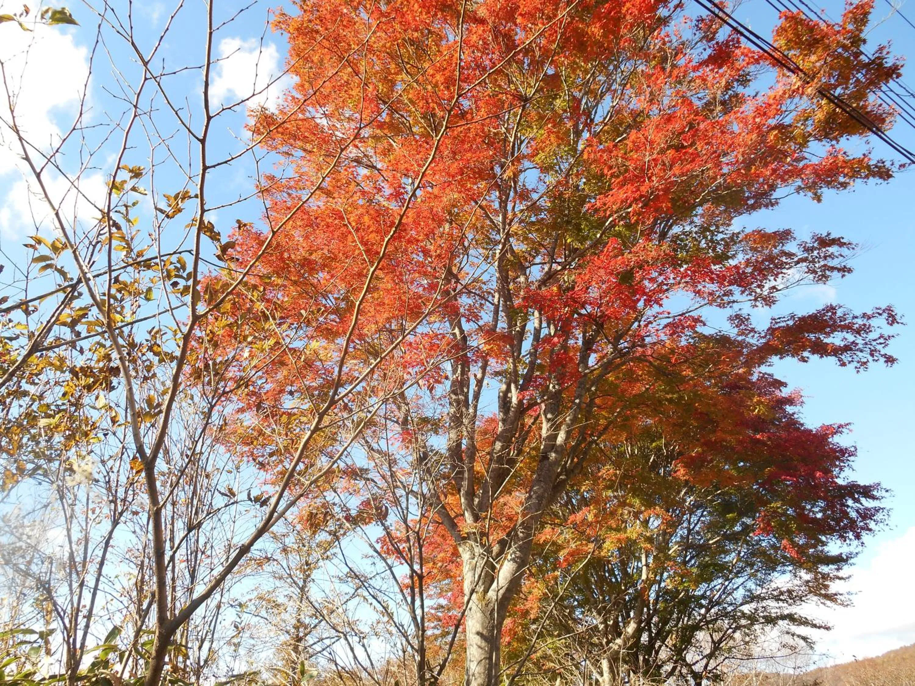 Natural landscape in kinugawaonsen Fukumatsu