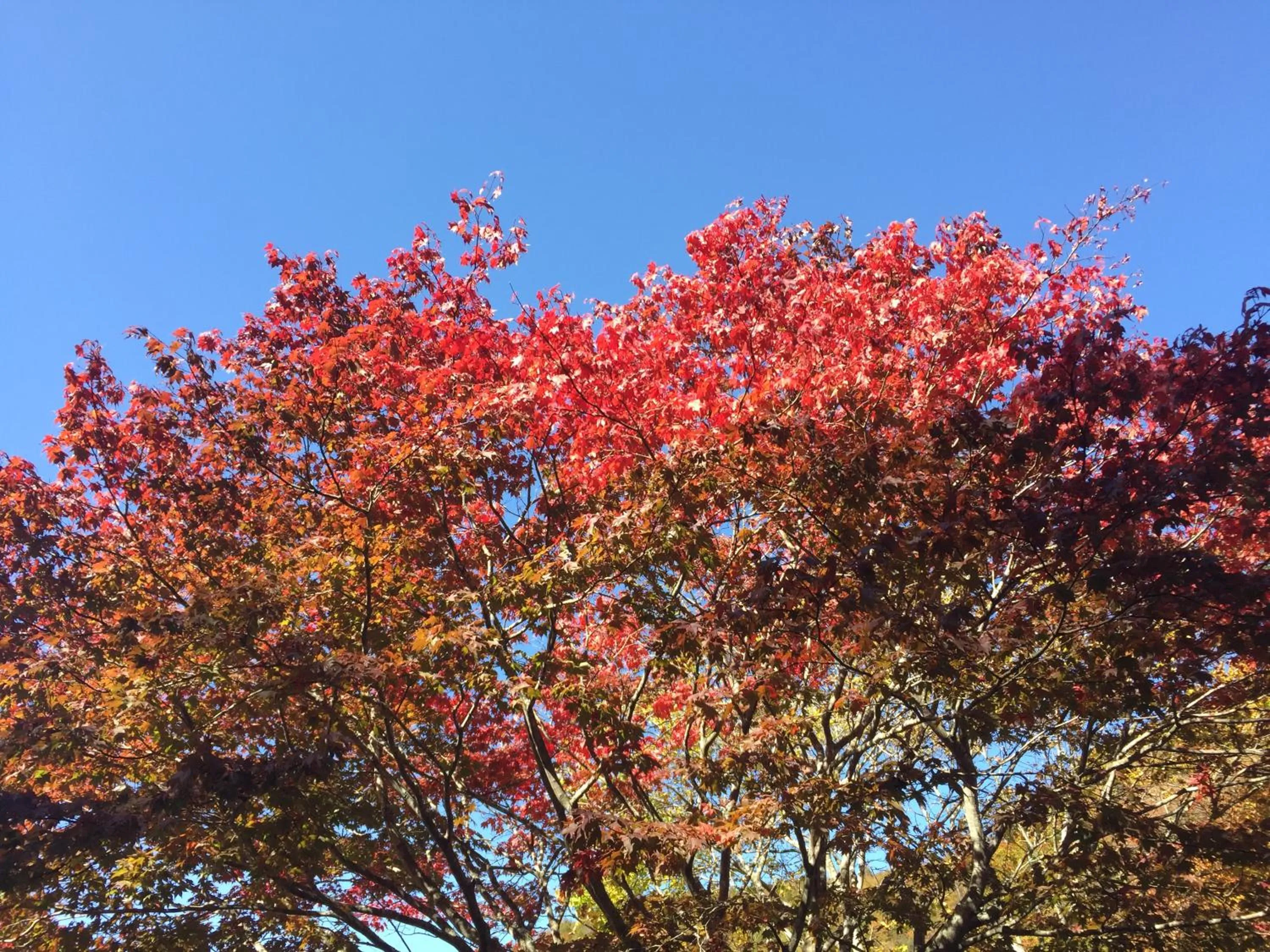 Natural landscape in kinugawaonsen Fukumatsu