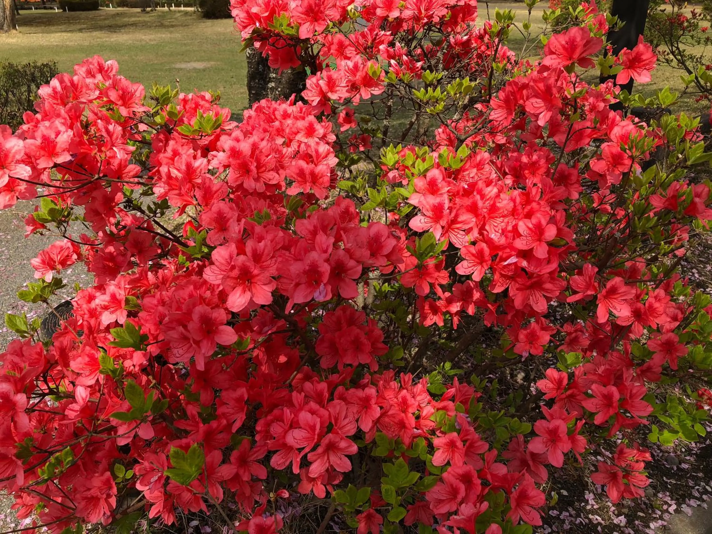 Nearby landmark in kinugawaonsen Fukumatsu