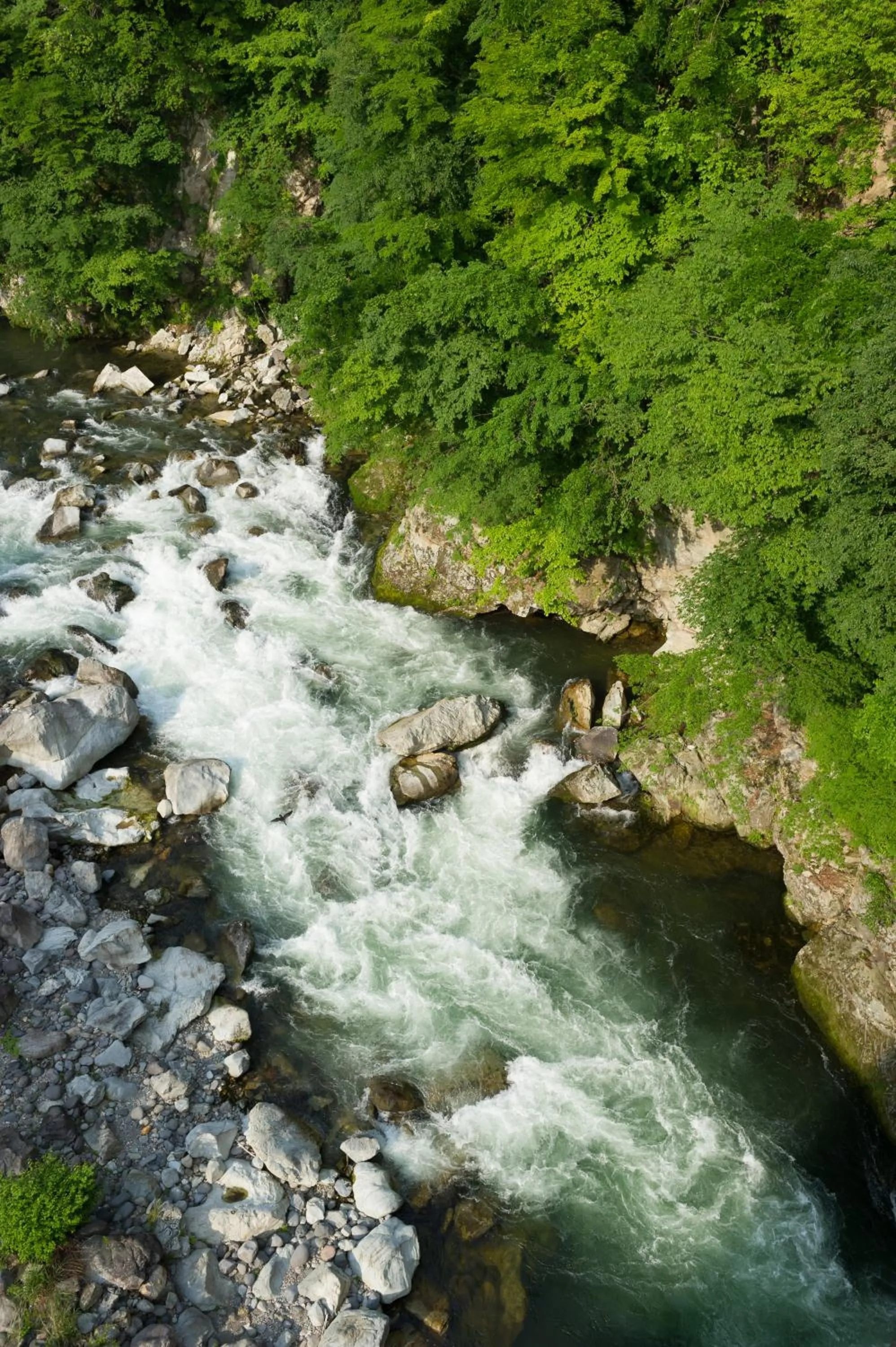 Summer in kinugawaonsen Fukumatsu