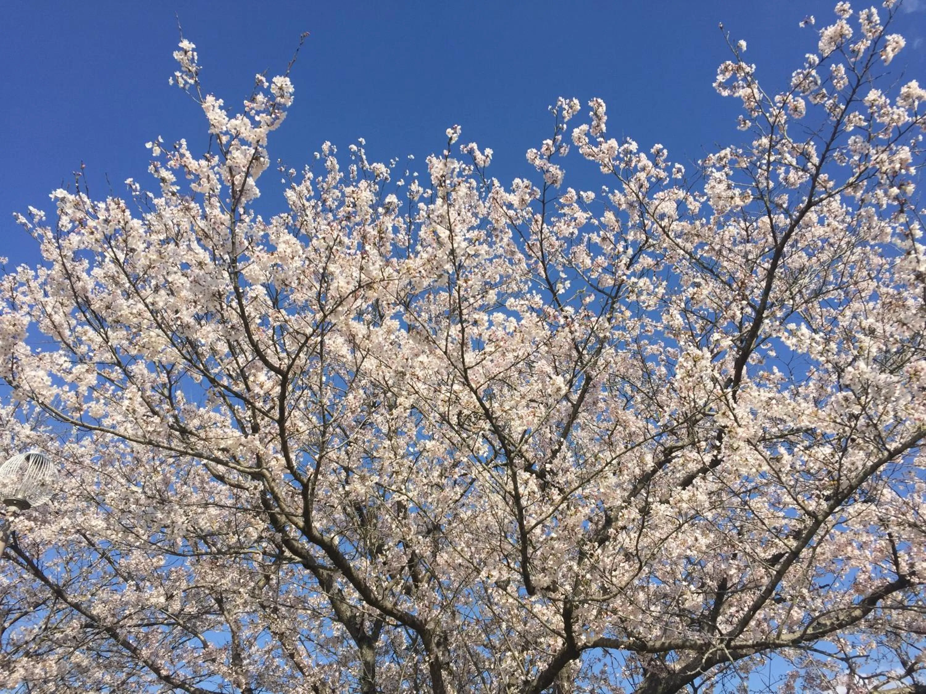 Street view in kinugawaonsen Fukumatsu