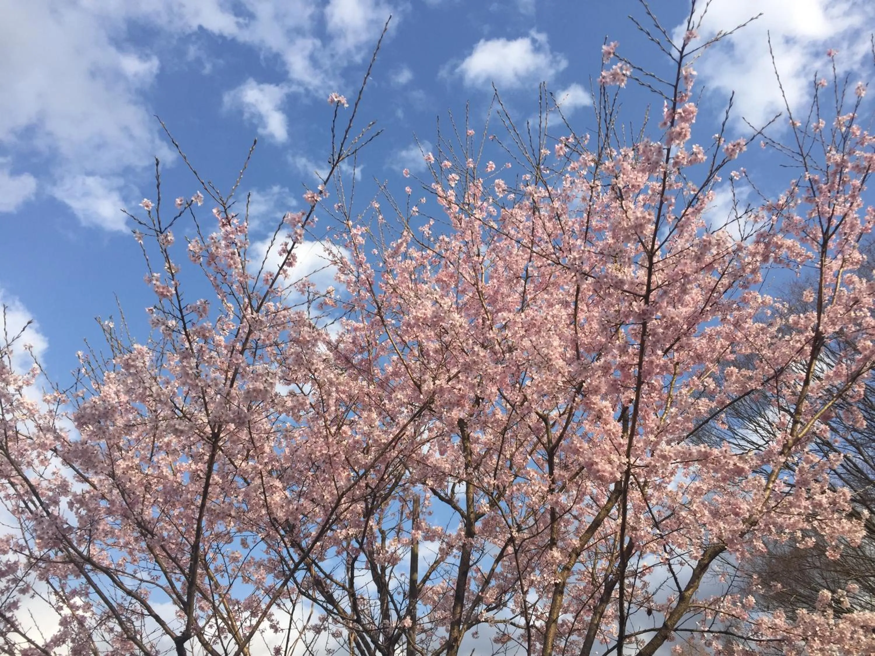 Natural landscape in kinugawaonsen Fukumatsu