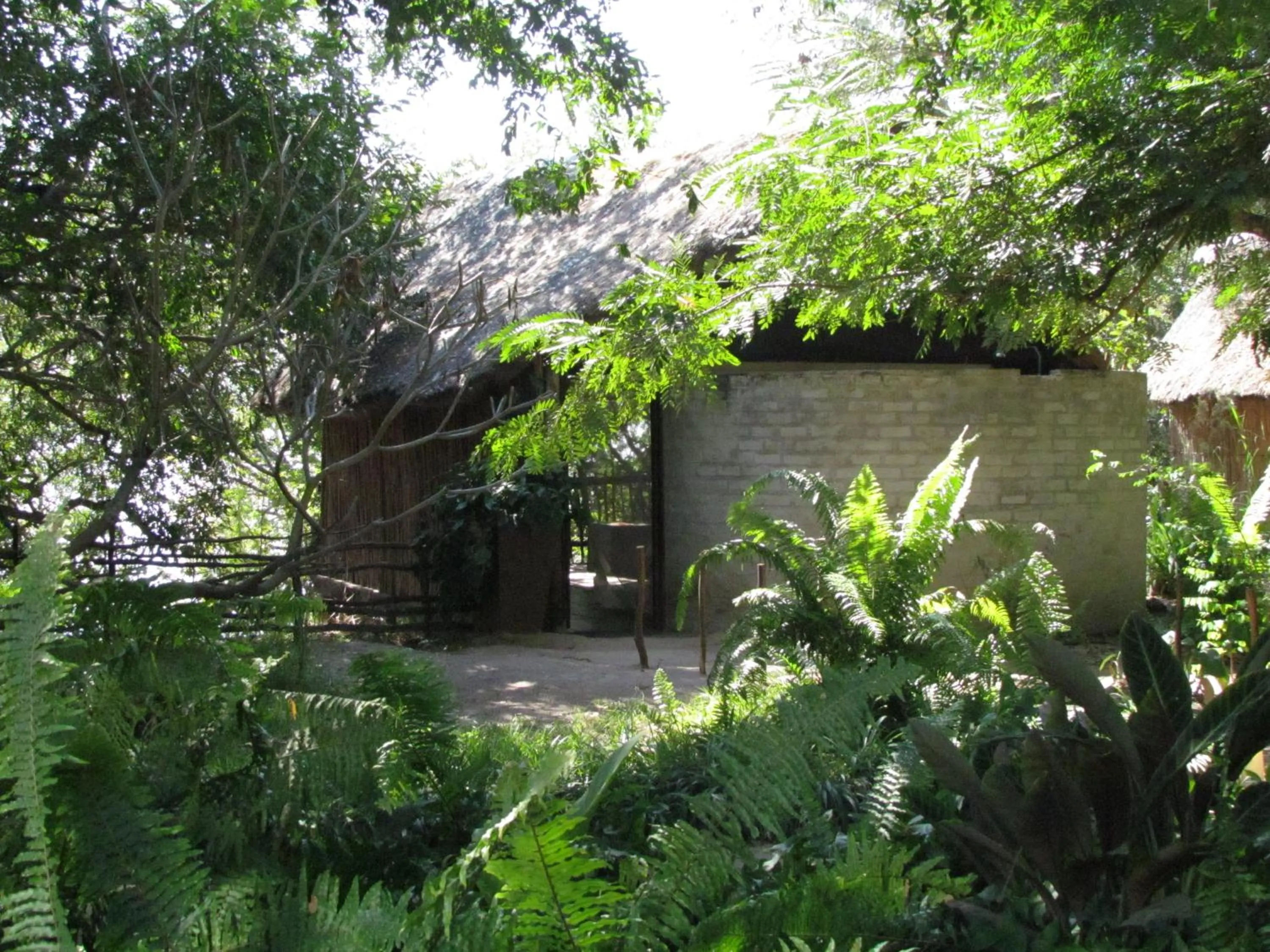 Property building in Caprivi Houseboat Safari Lodge