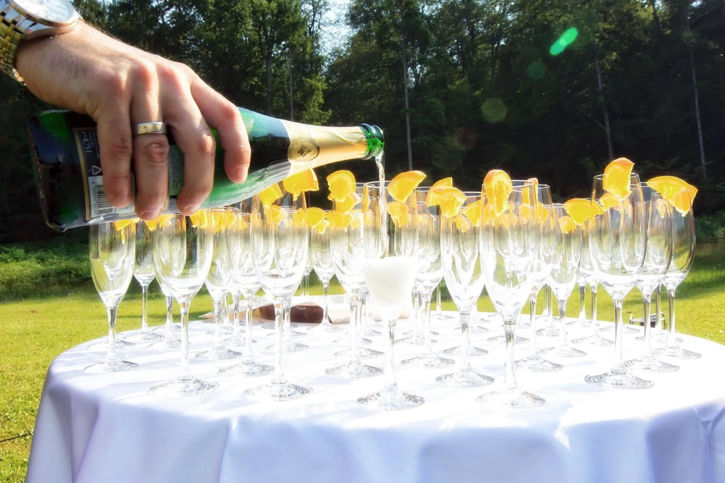 Entertainment in Hotel Grosuplje