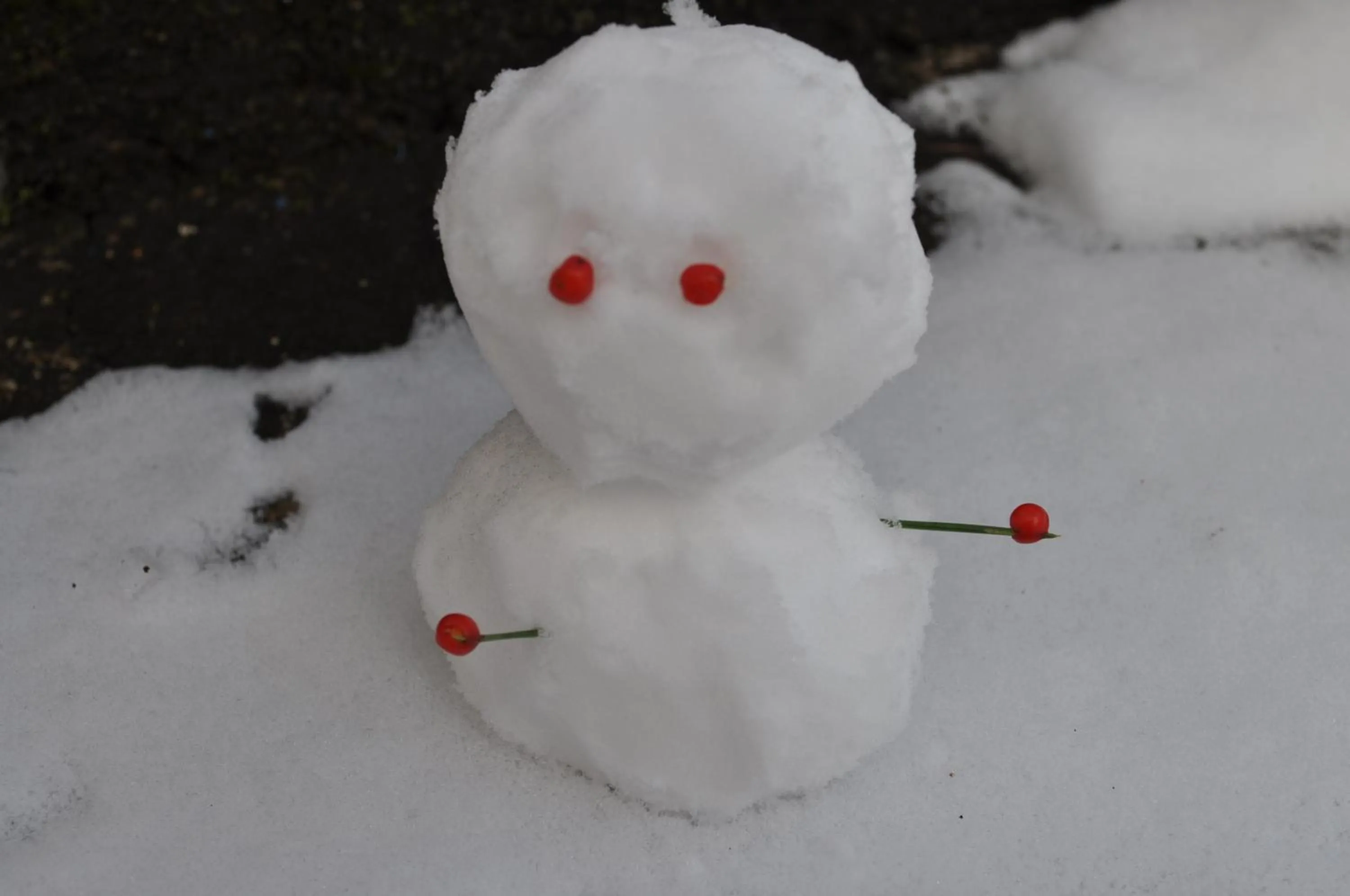 Winter in Yudanaka Yumoto