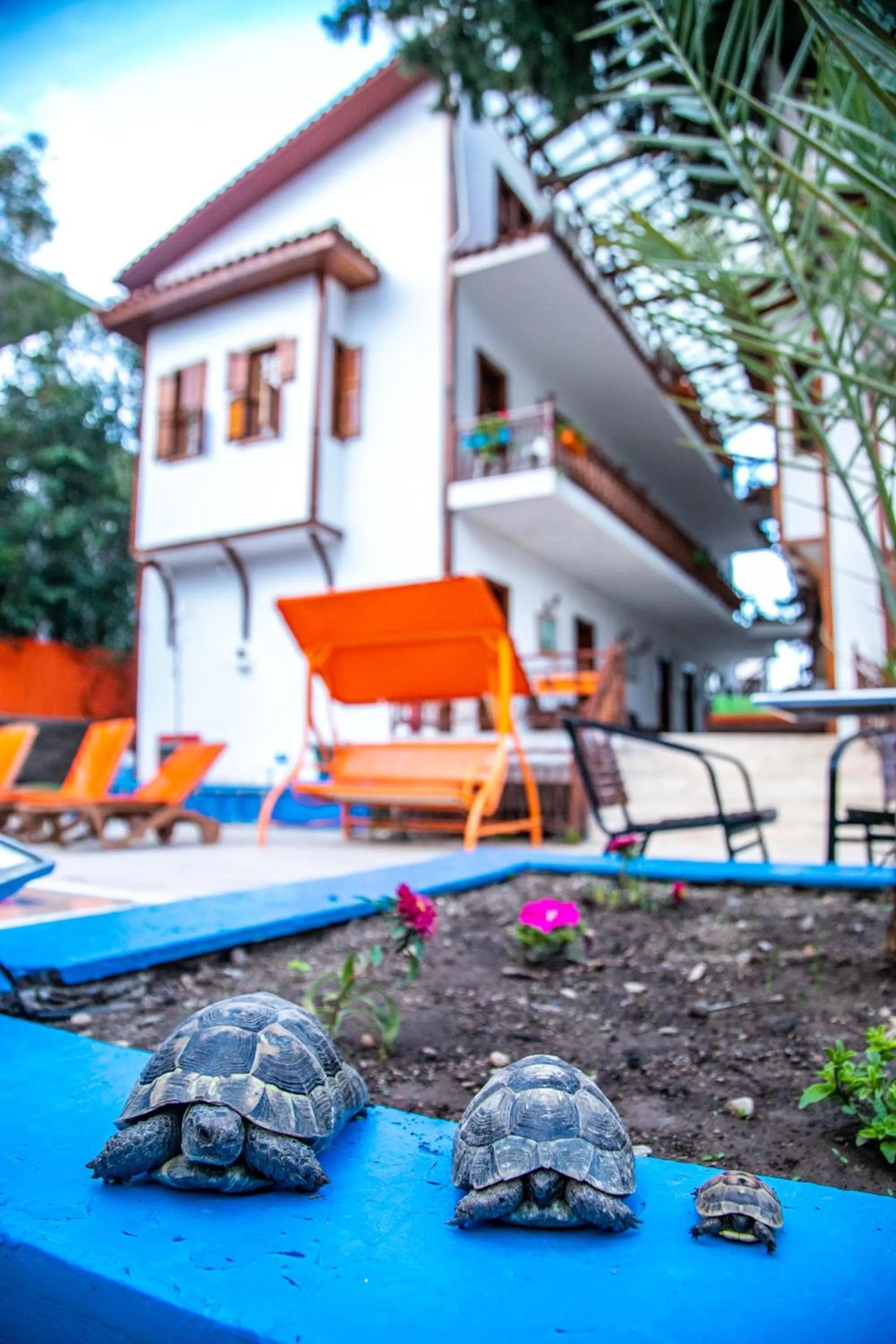 Property building in Kaliptus Hotel