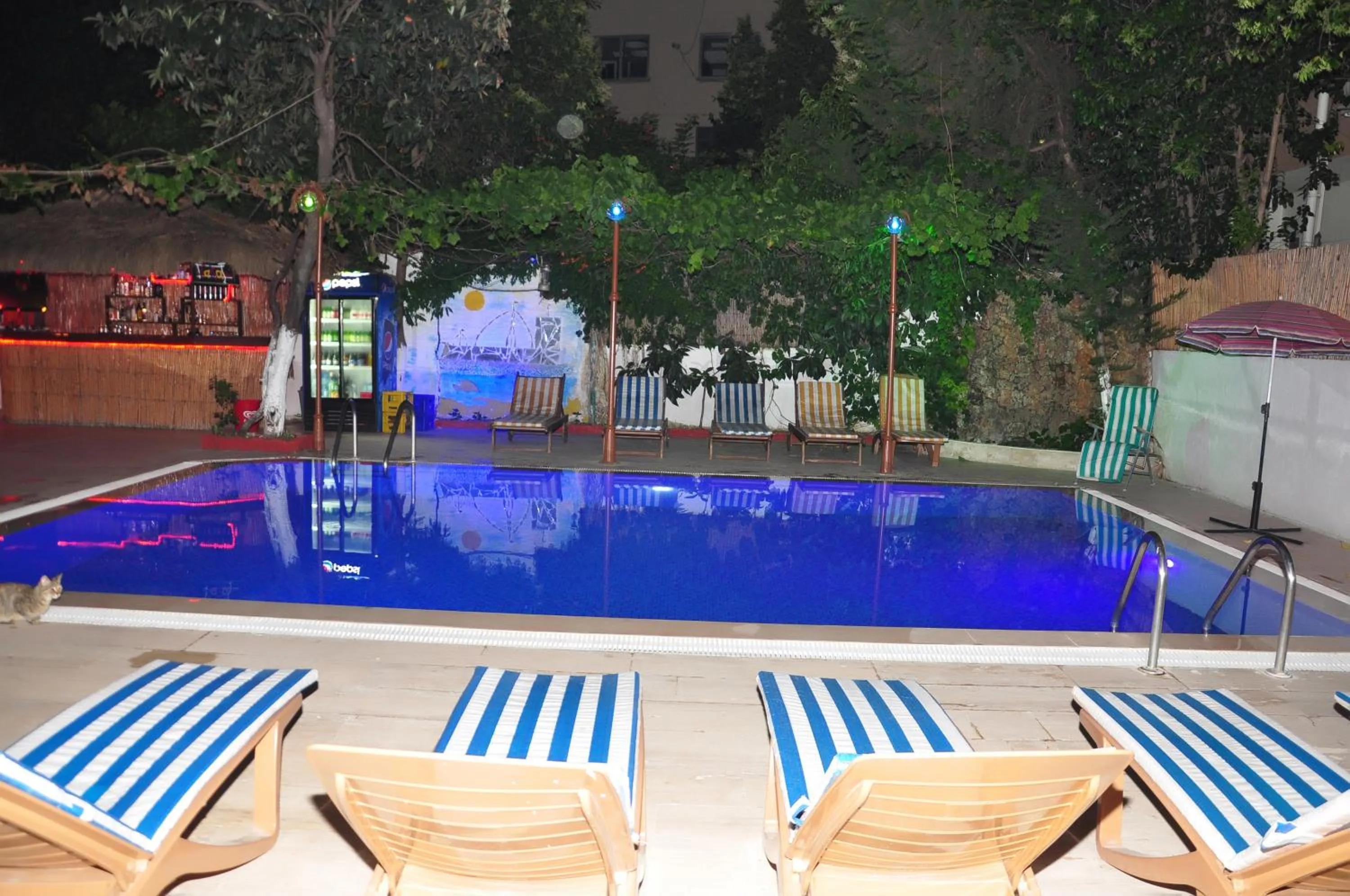 Natural landscape in Kaliptus Hotel