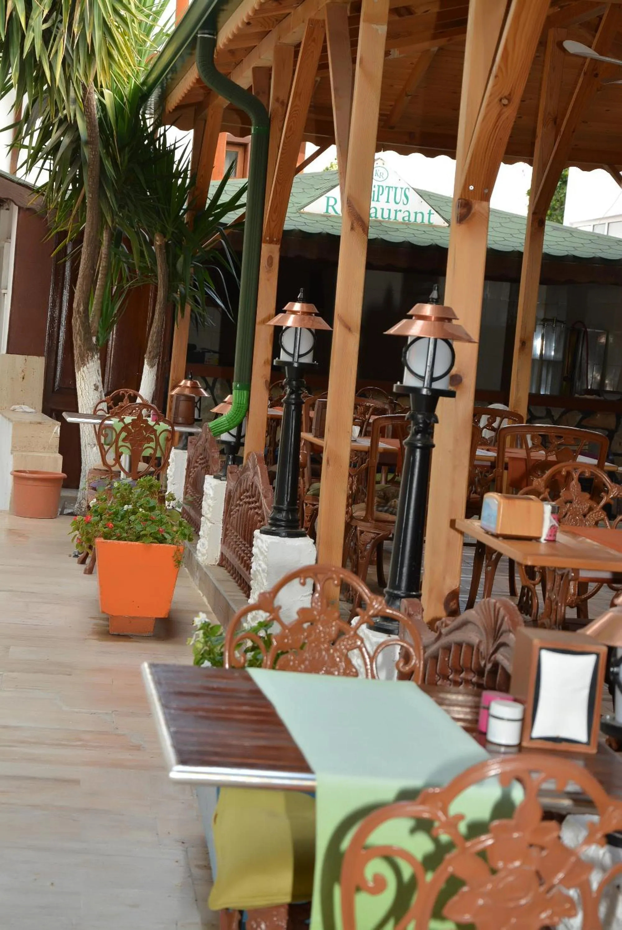 Restaurant/places to eat in Kaliptus Hotel