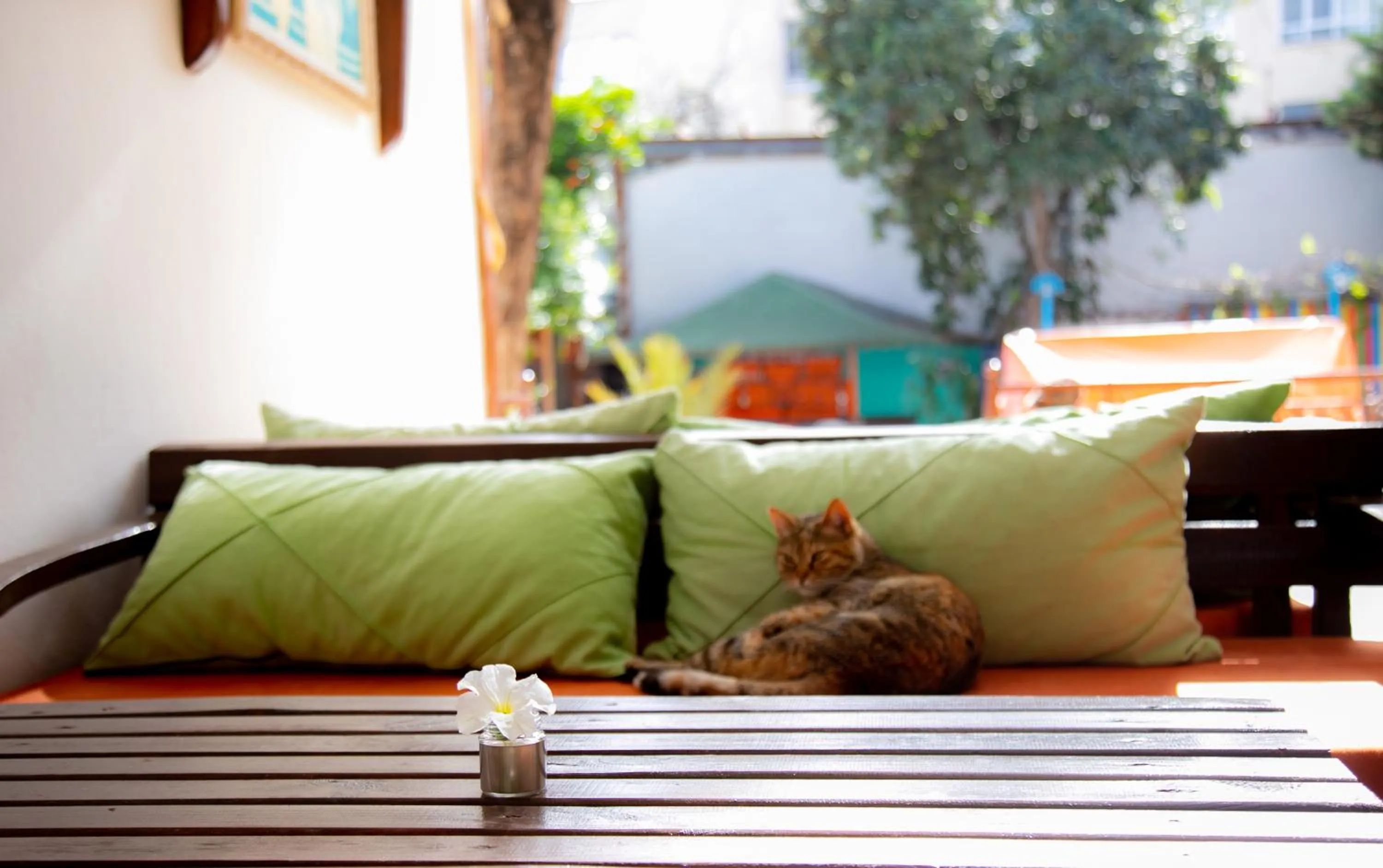 Seating area in Kaliptus Hotel