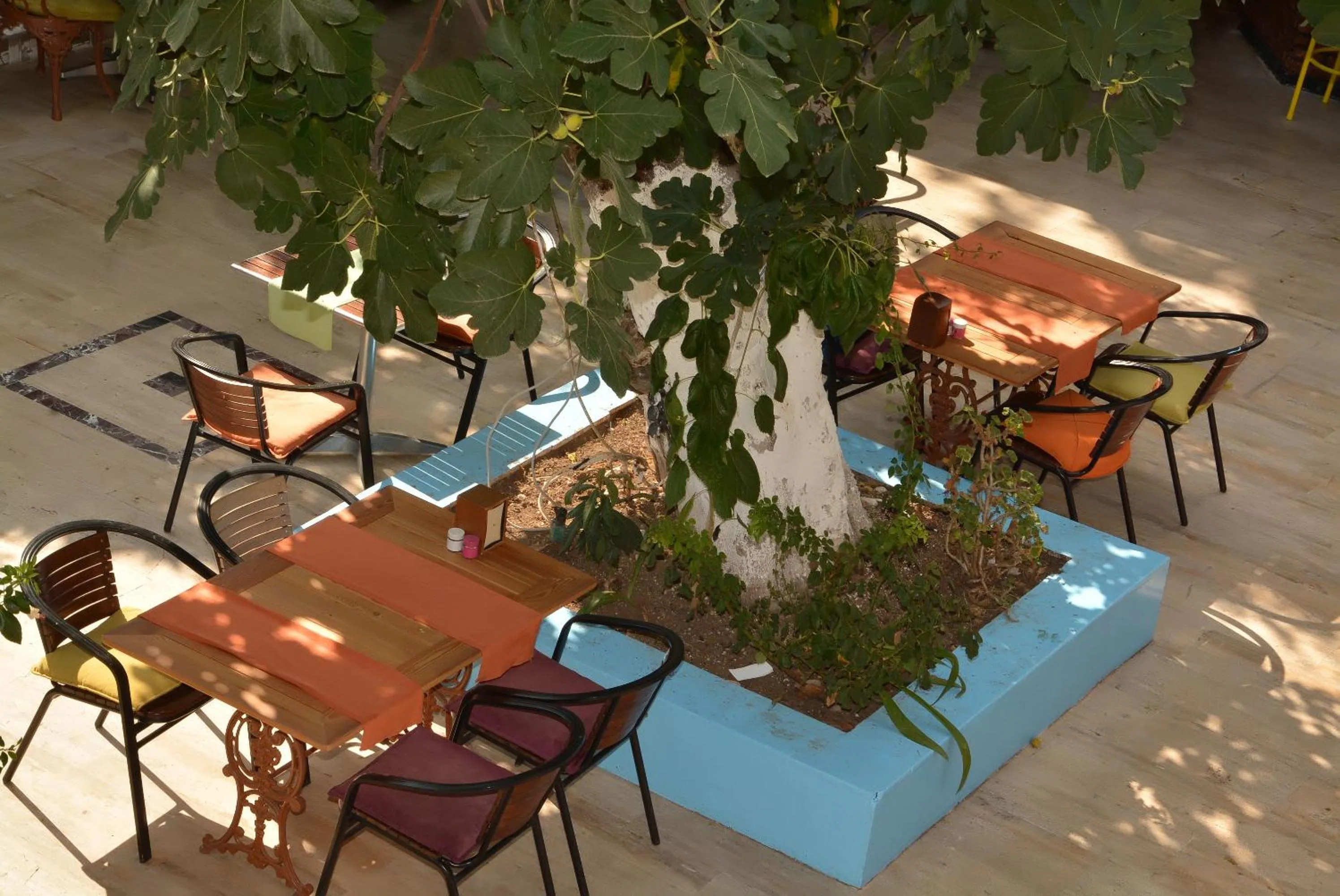 Patio in Kaliptus Hotel