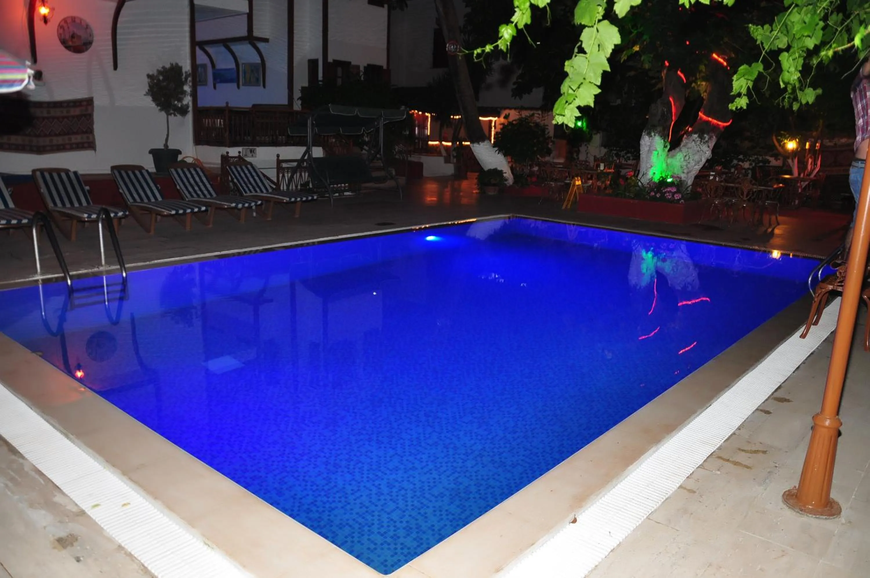 Natural landscape in Kaliptus Hotel