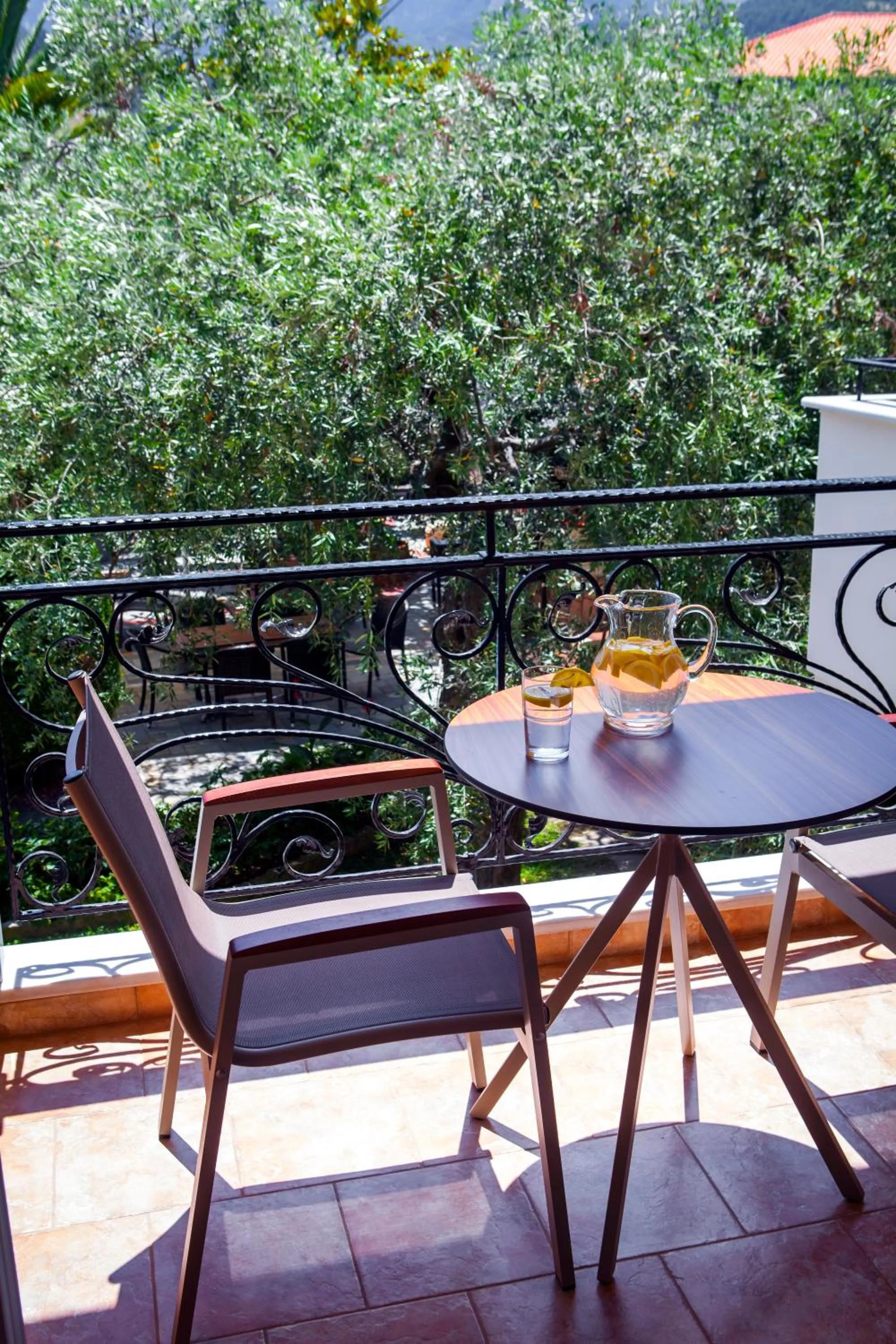 Garden in Luxury Villa Fotini