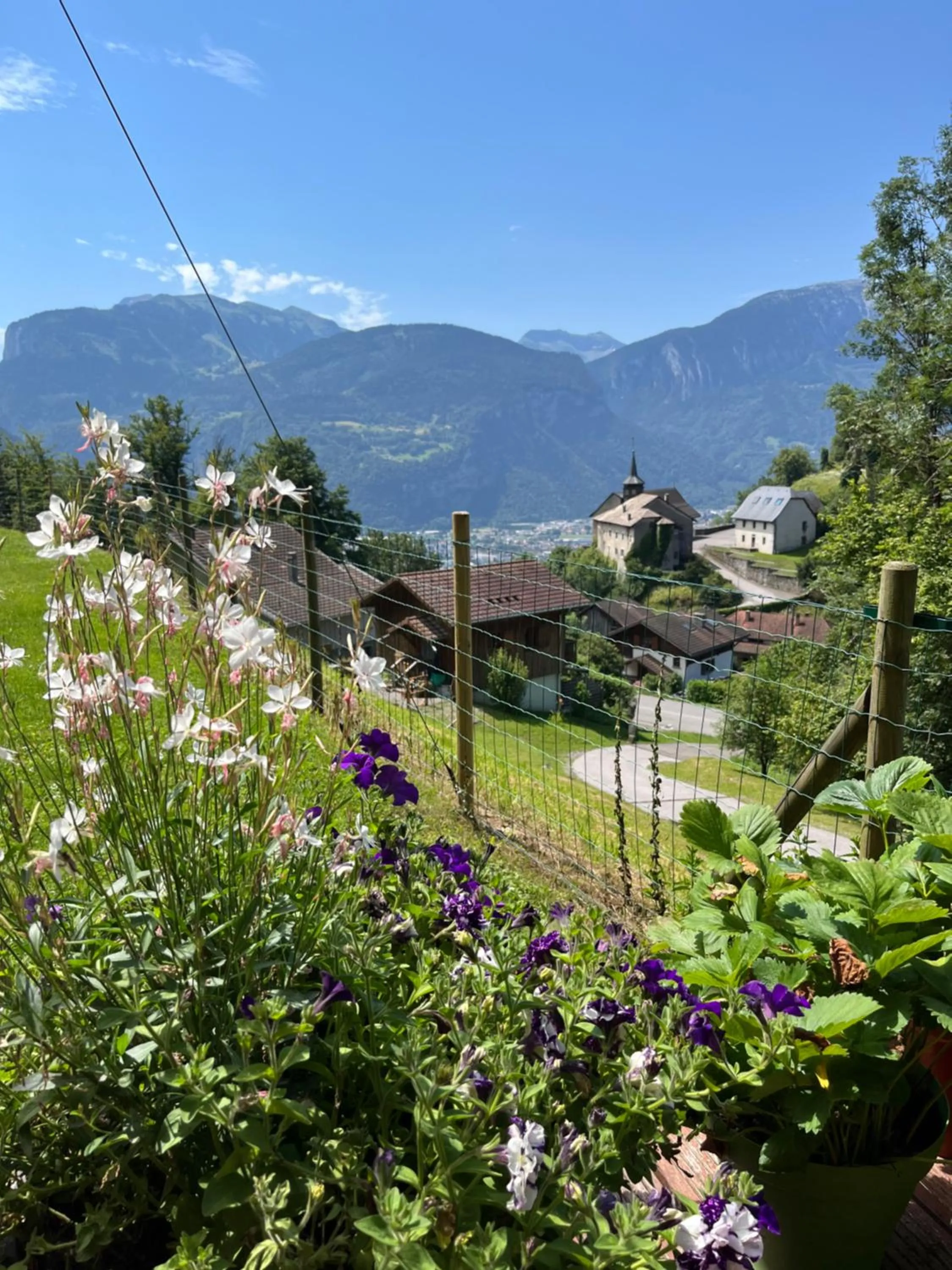 Garden in Chalet Le Pery