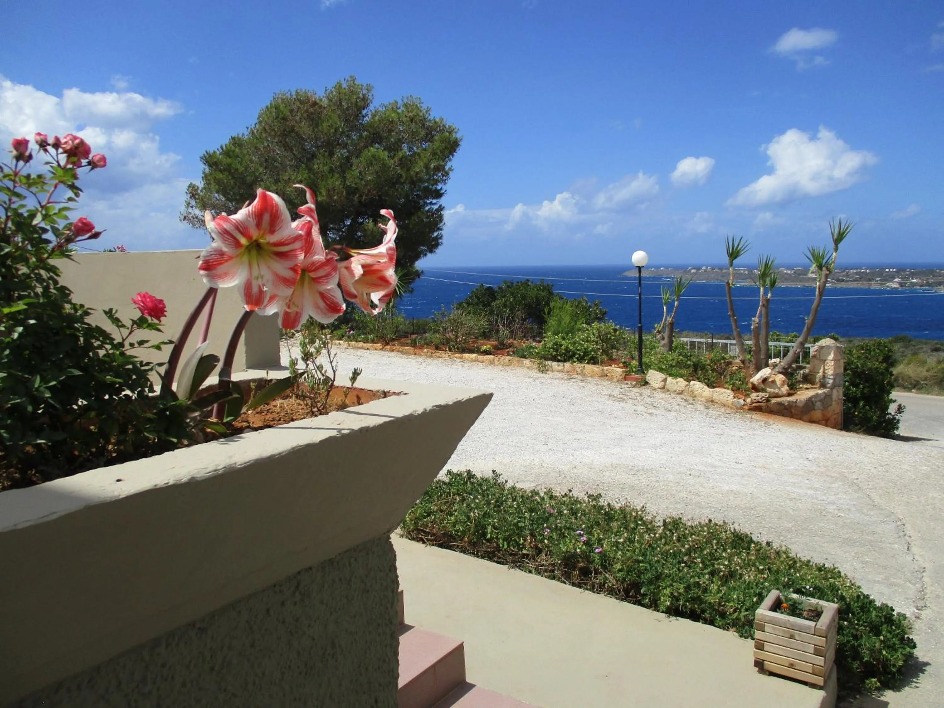 Sea view in Theodosia Studios