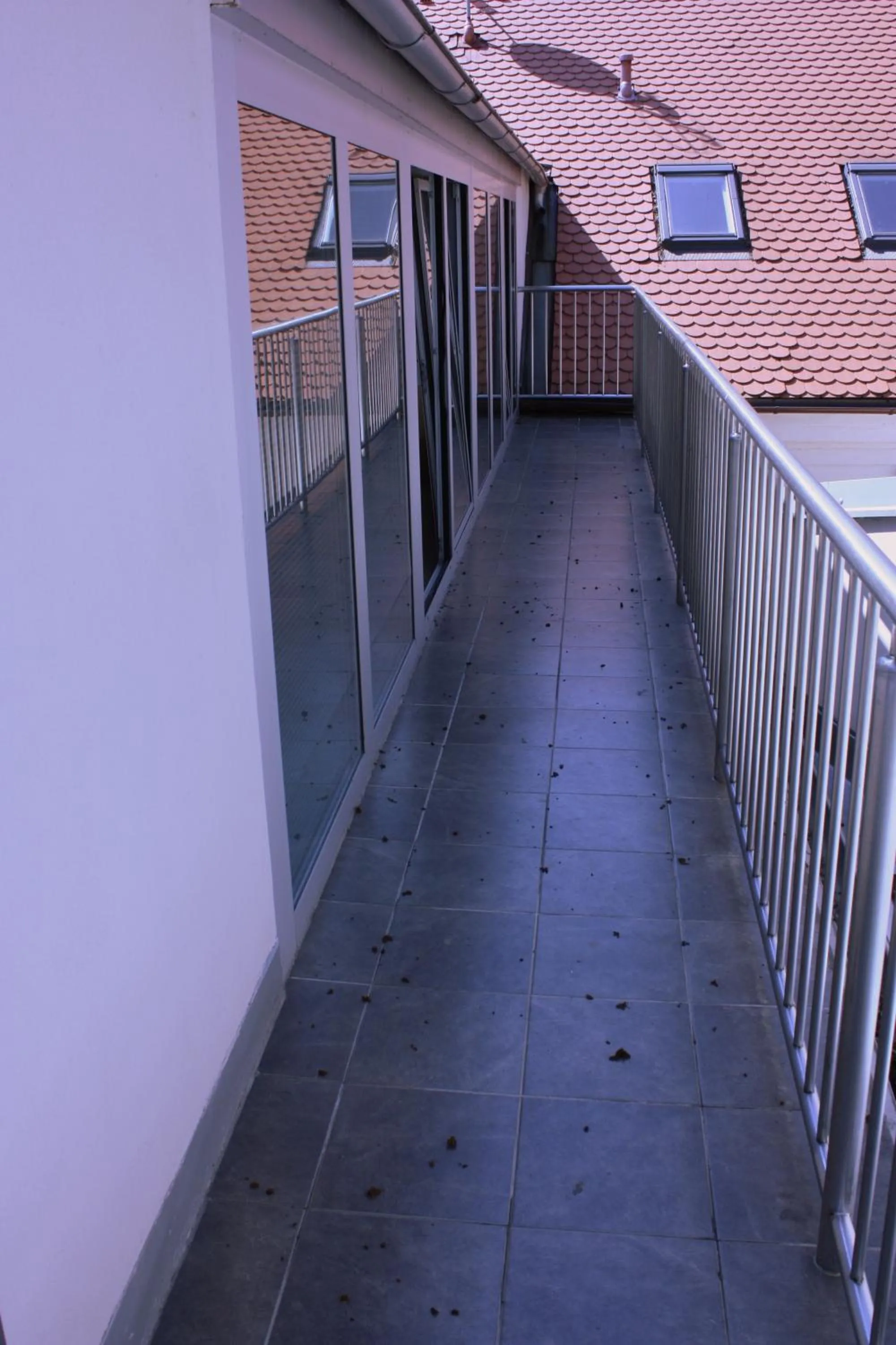 Balcony/Terrace in Penzion a CaféRestaurant U lávky