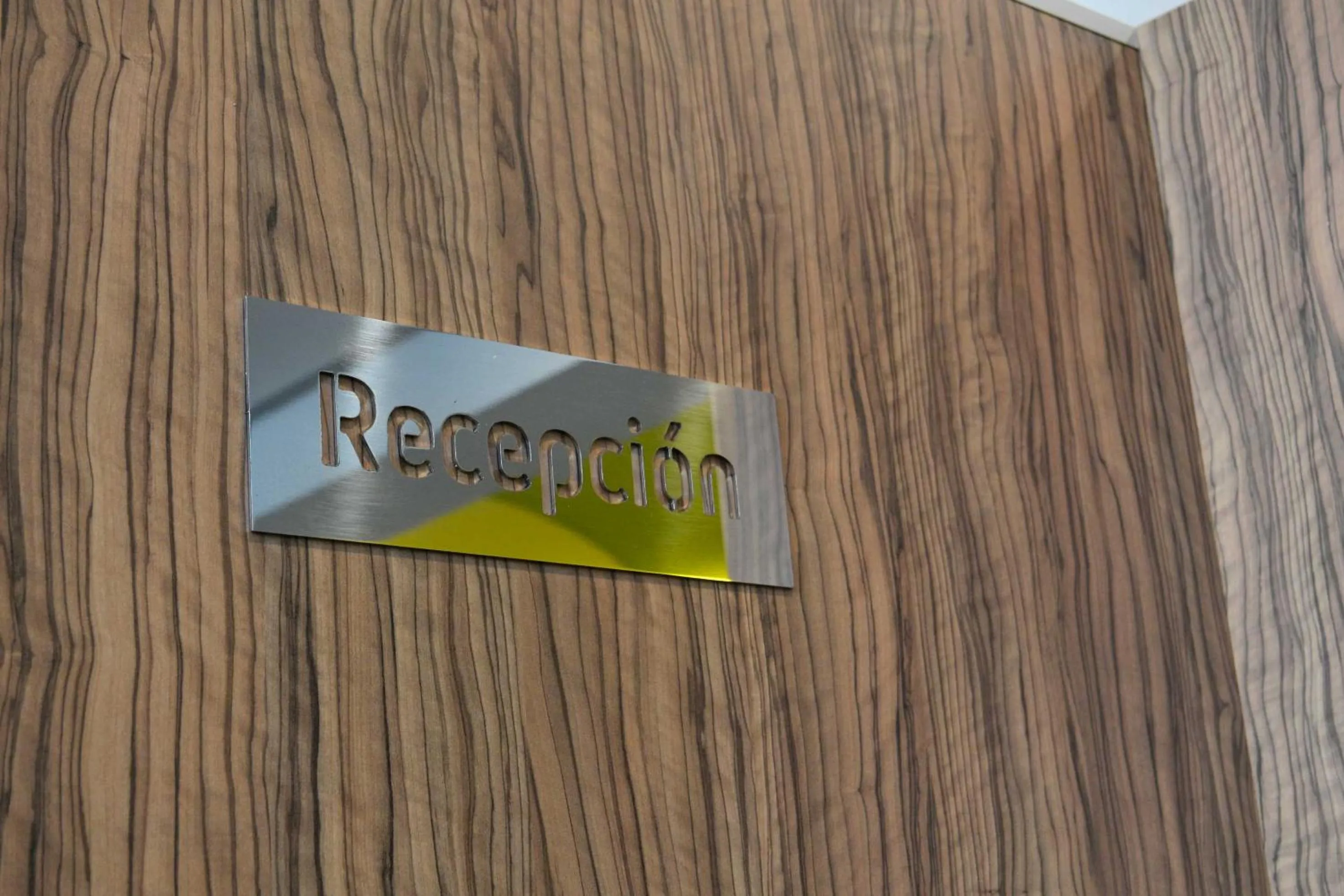 Lobby or reception in Hotel Alda Estación Ourense