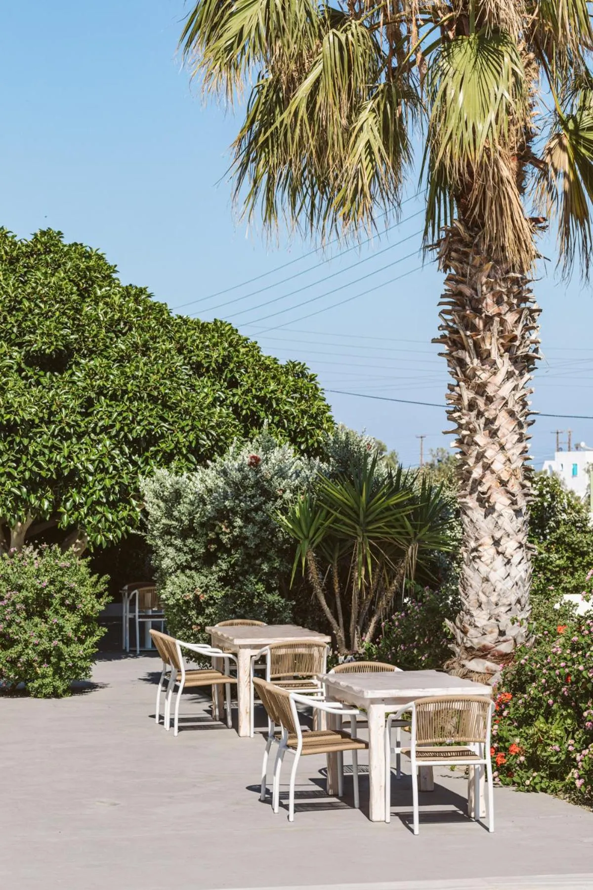 Dining area in Ambeli Apartments