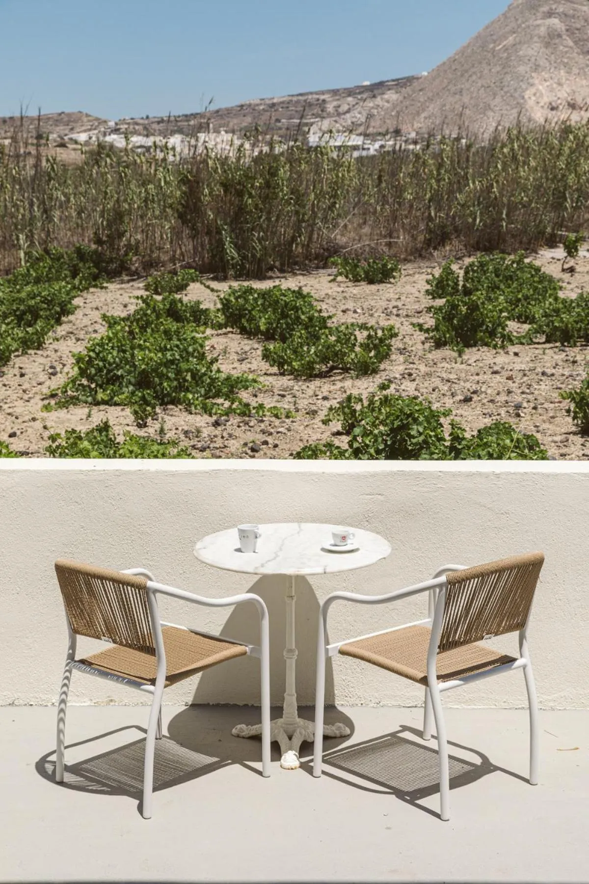 Garden view in Ambeli Apartments