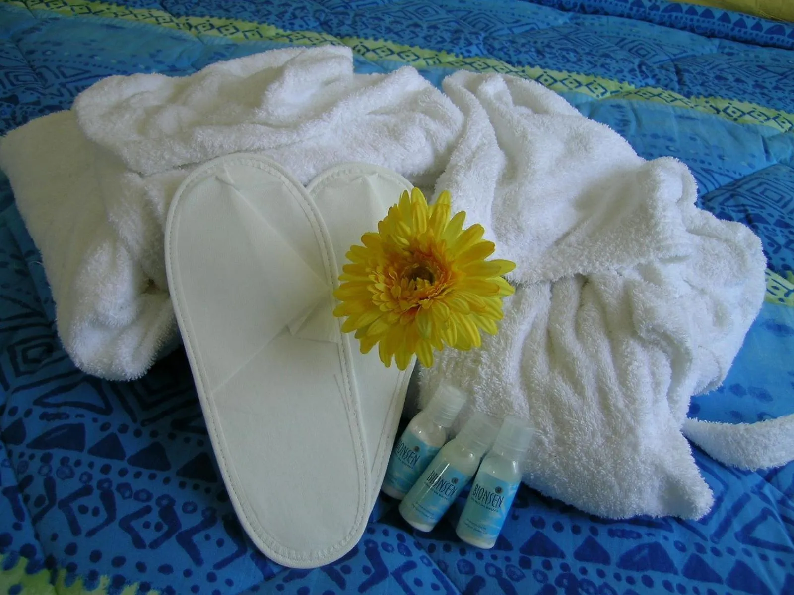 Toilet in Hotel La Gioiosa