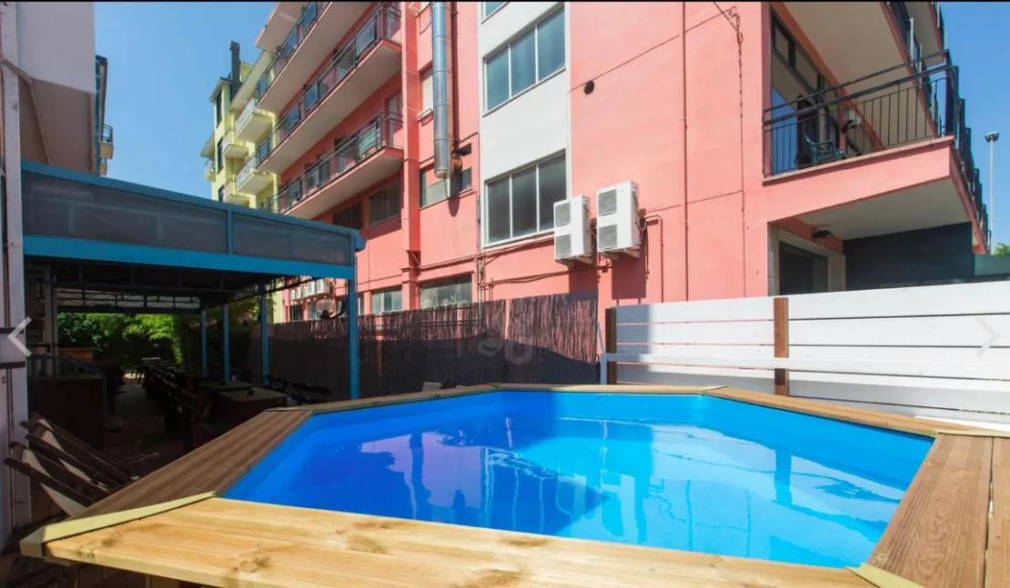 Garden in Sunflower Beach Backpacker Hostel & Bar