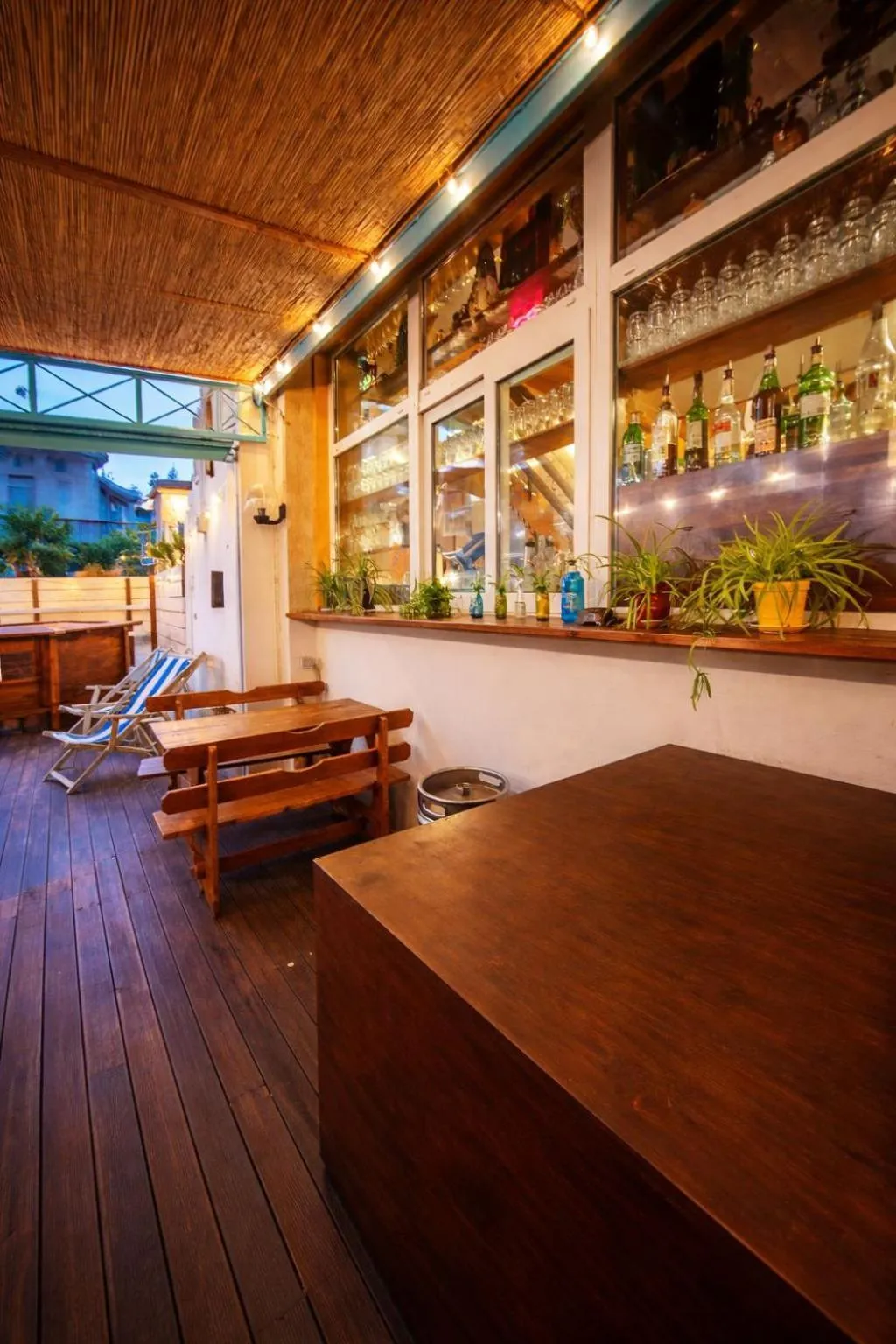 Garden in Sunflower Beach Backpacker Hostel & Bar