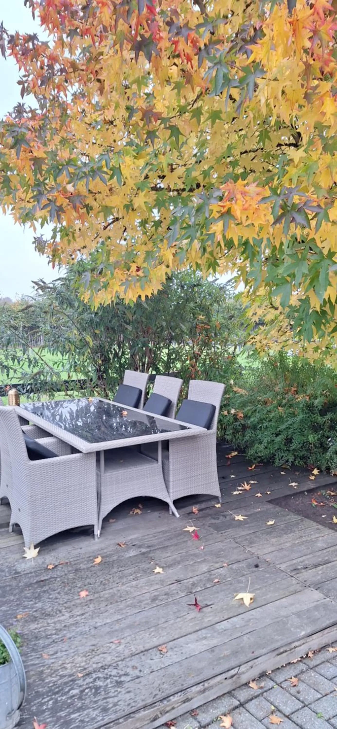 Garden in B&B De Raamberg