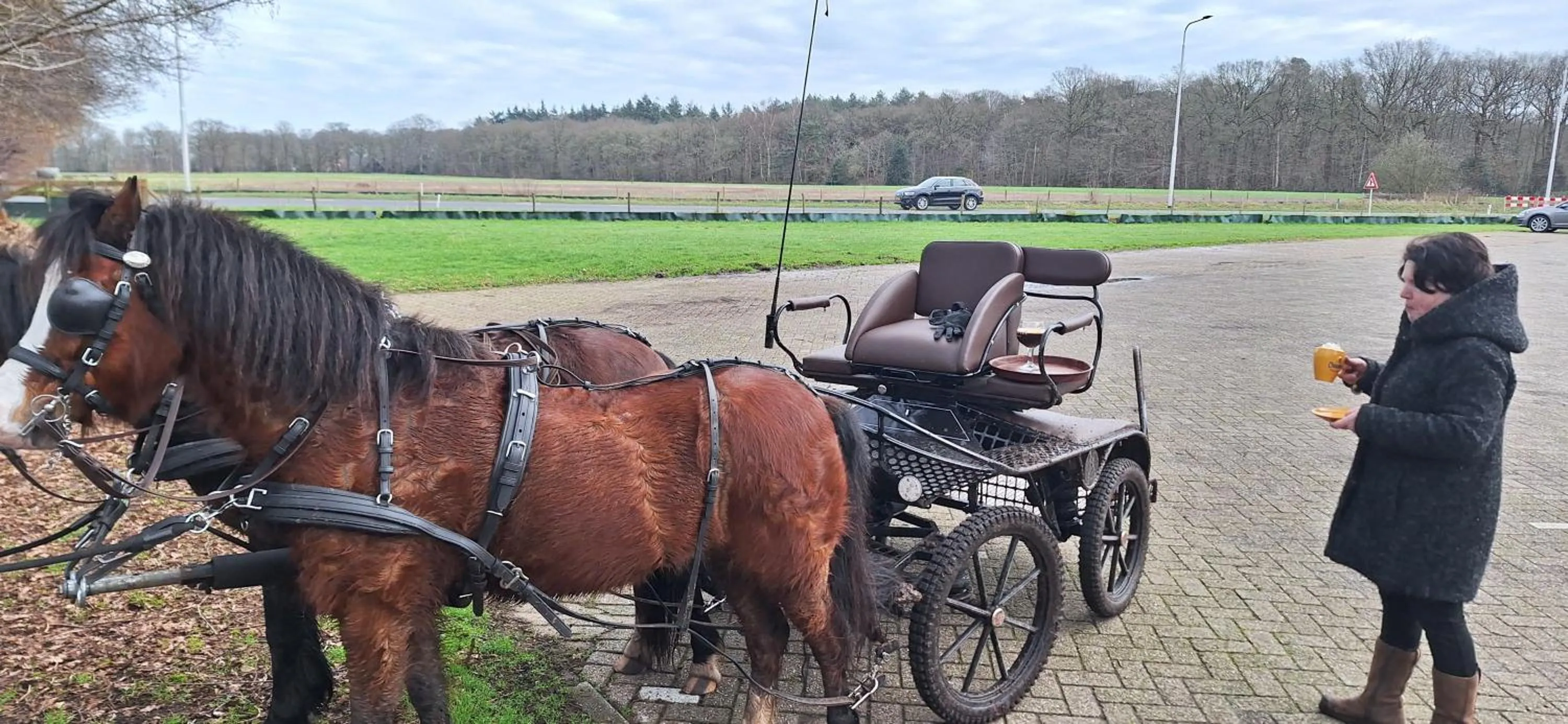 Horse-riding in B&B De Raamberg