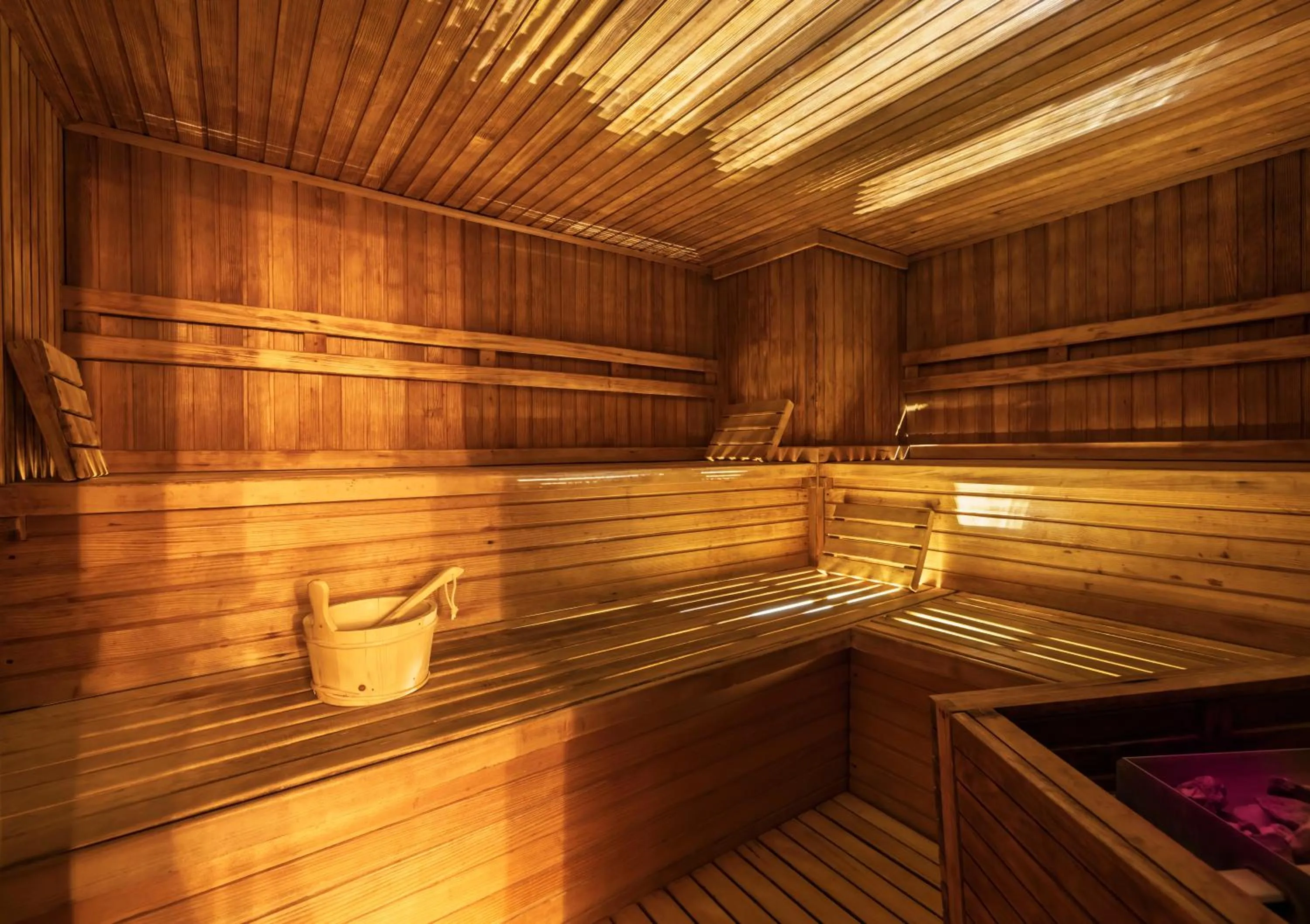 Sauna in Remisens Hotel METROPOL