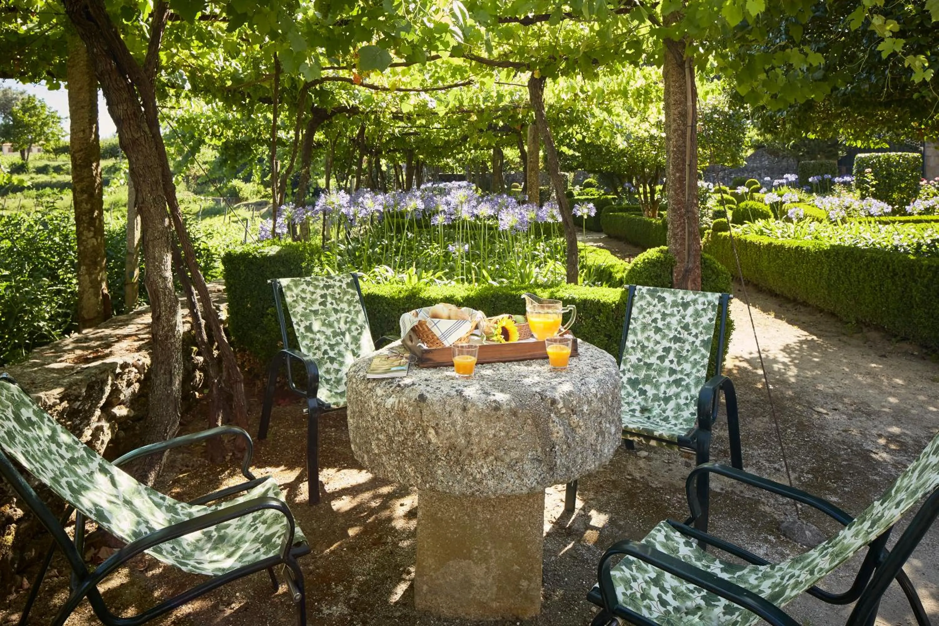 Garden in Casa de Canedo